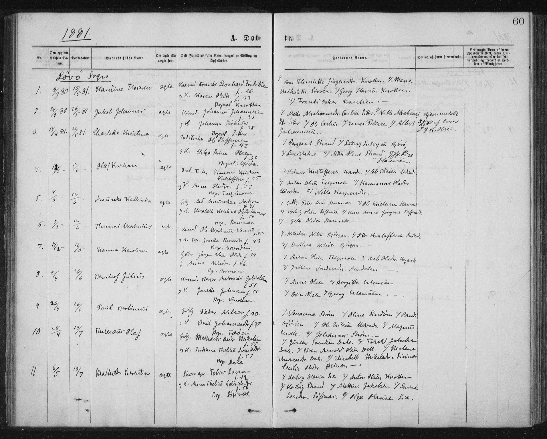 Ministerialprotokoller, klokkerbøker og fødselsregistre - Nord-Trøndelag, AV/SAT-A-1458/771/L0596: Parish register (official) no. 771A03, 1870-1884, p. 60