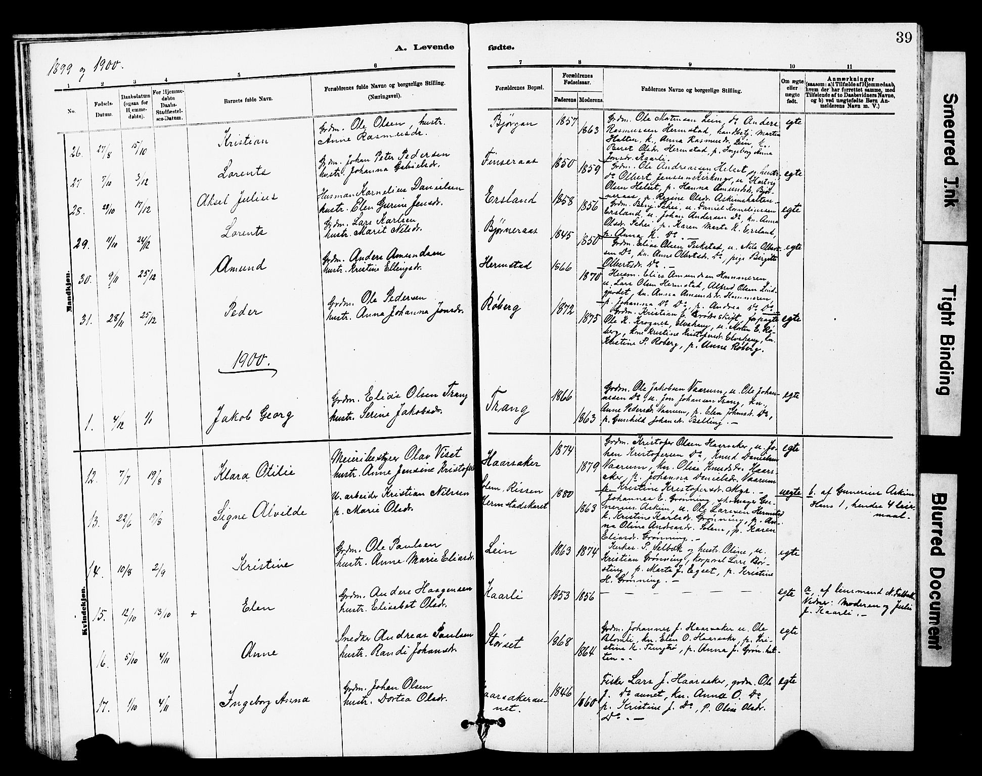 Ministerialprotokoller, klokkerbøker og fødselsregistre - Sør-Trøndelag, SAT/A-1456/646/L0628: Parish register (copy) no. 646C01, 1880-1903, p. 39