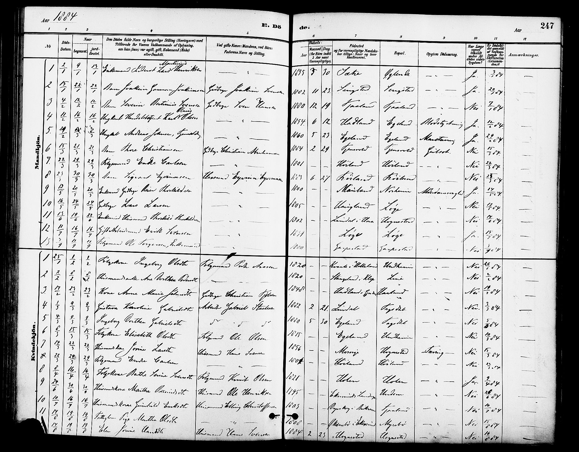 Lye sokneprestkontor, SAST/A-101794/001/30BA/L0009: Parish register (official) no. A 8, 1881-1892, p. 247