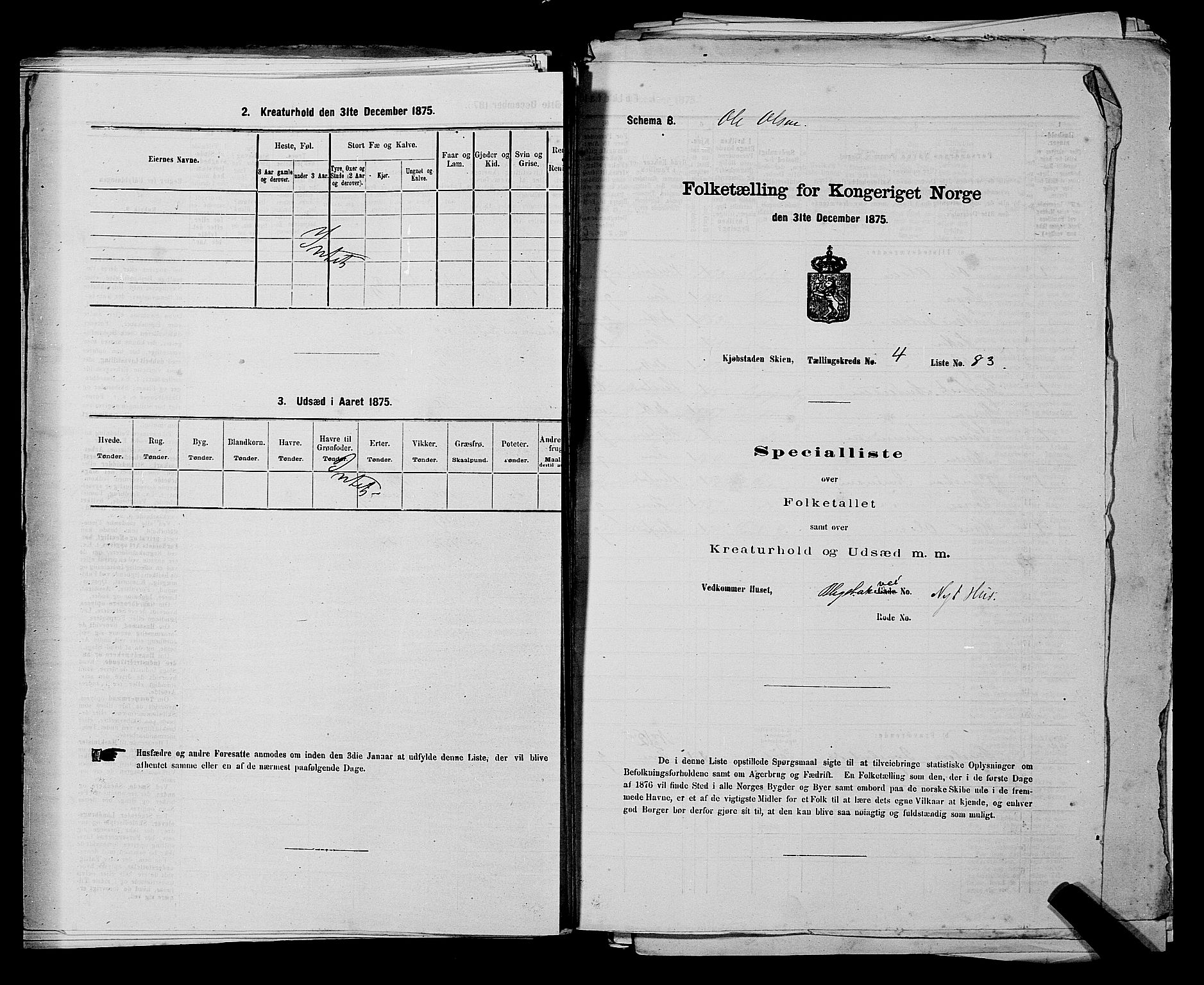 SAKO, 1875 census for 0806P Skien, 1875, p. 847