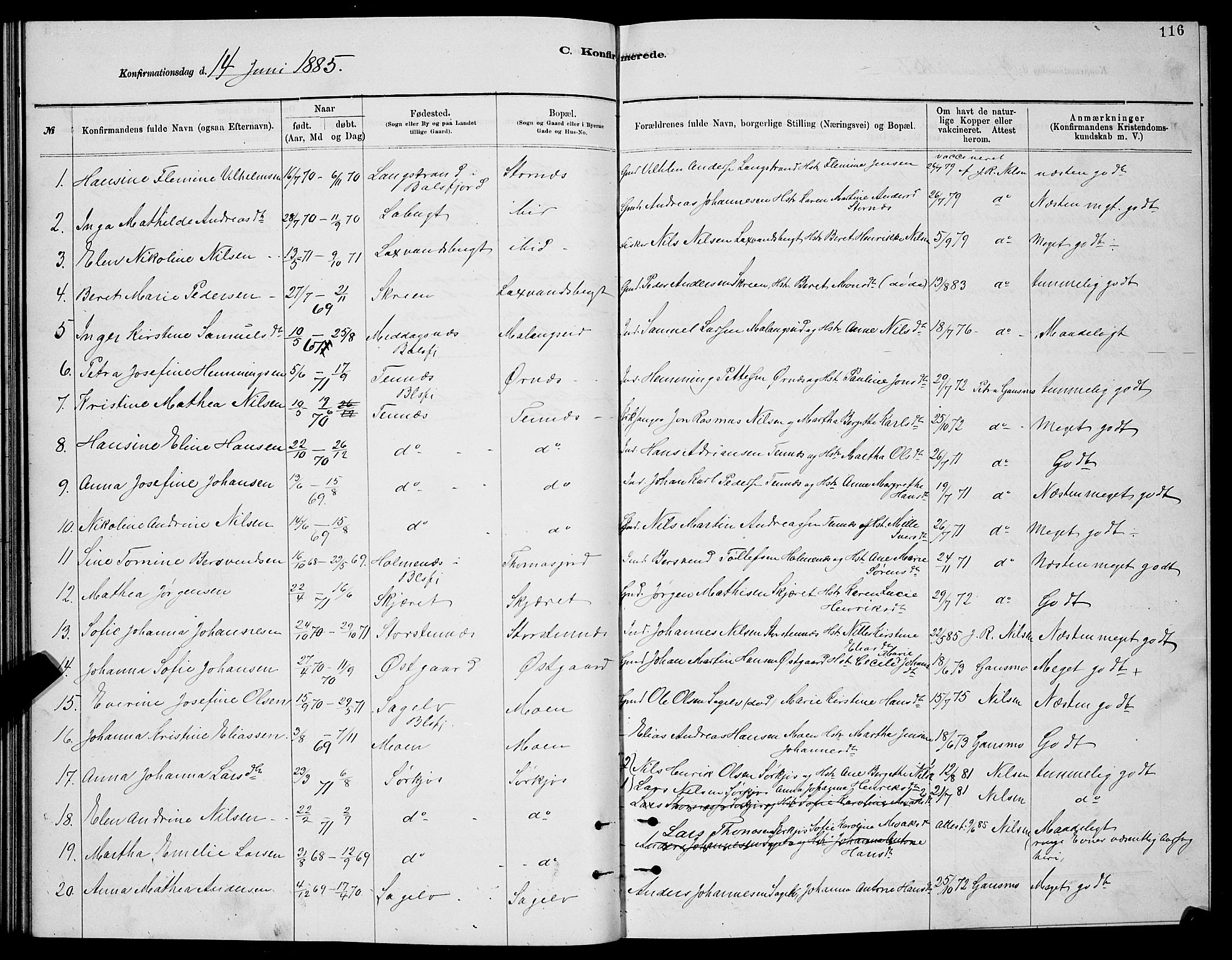 Balsfjord sokneprestembete, SATØ/S-1303/G/Ga/L0007klokker: Parish register (copy) no. 7, 1878-1889, p. 116