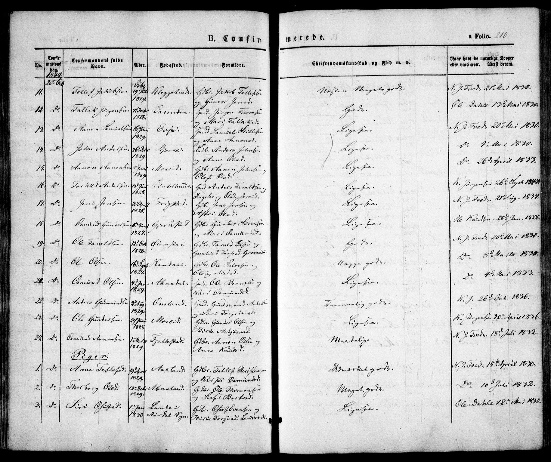 Evje sokneprestkontor, AV/SAK-1111-0008/F/Fa/Faa/L0005: Parish register (official) no. A 5, 1843-1865, p. 210