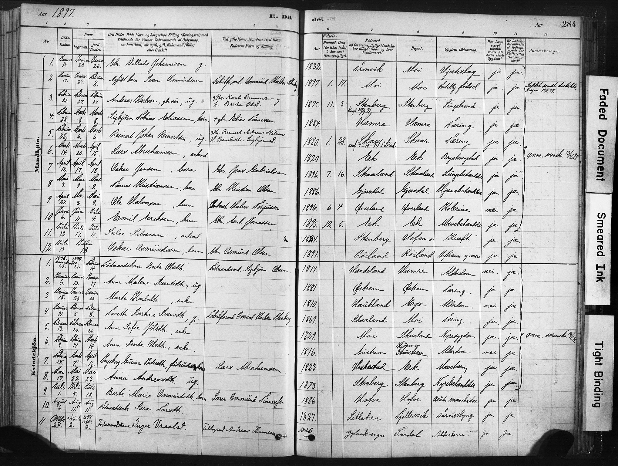 Lund sokneprestkontor, AV/SAST-A-101809/S06/L0011: Parish register (official) no. A 10, 1877-1904, p. 284