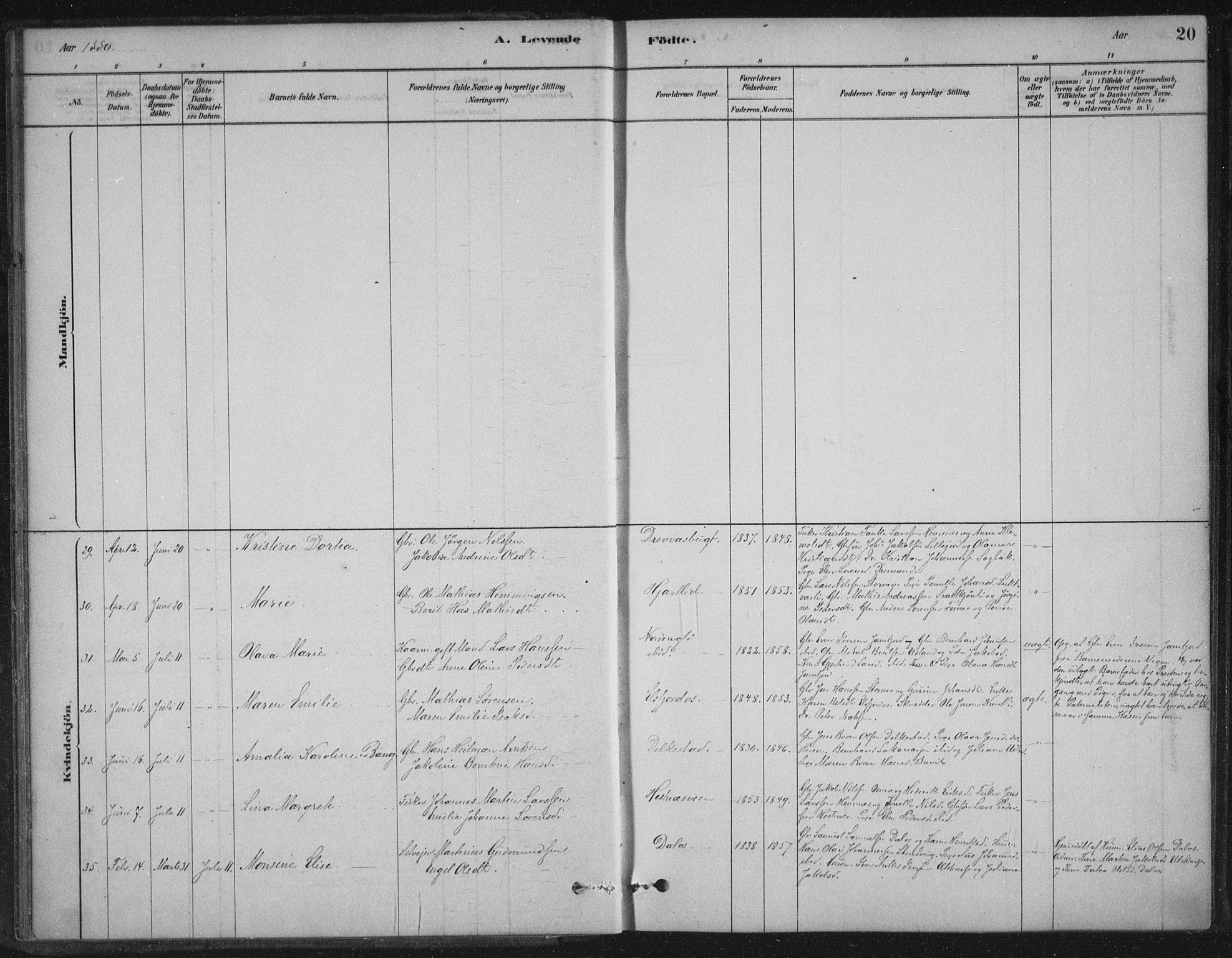 Ministerialprotokoller, klokkerbøker og fødselsregistre - Nordland, SAT/A-1459/825/L0361: Parish register (official) no. 825A15, 1878-1893, p. 20