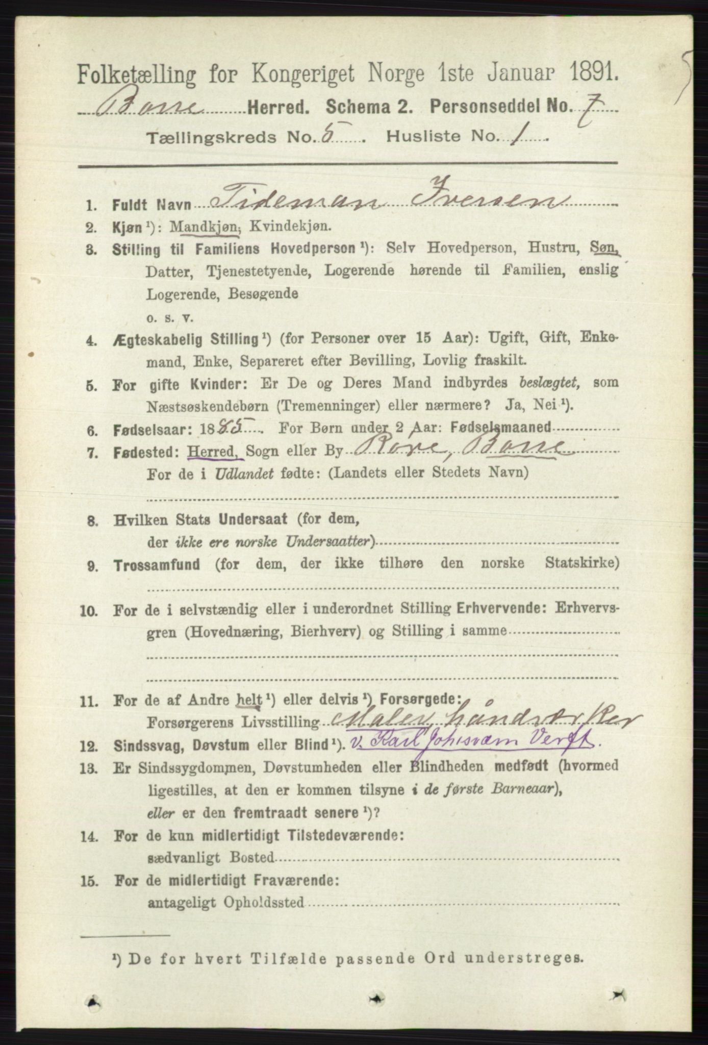 RA, 1891 census for 0717 Borre, 1891, p. 2018