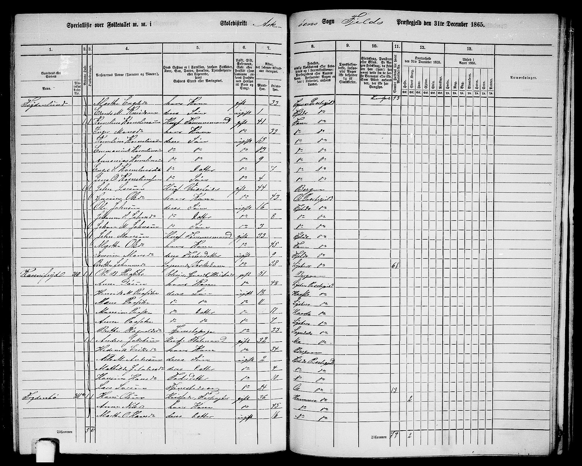 RA, 1865 census for Fjell, 1865, p. 239