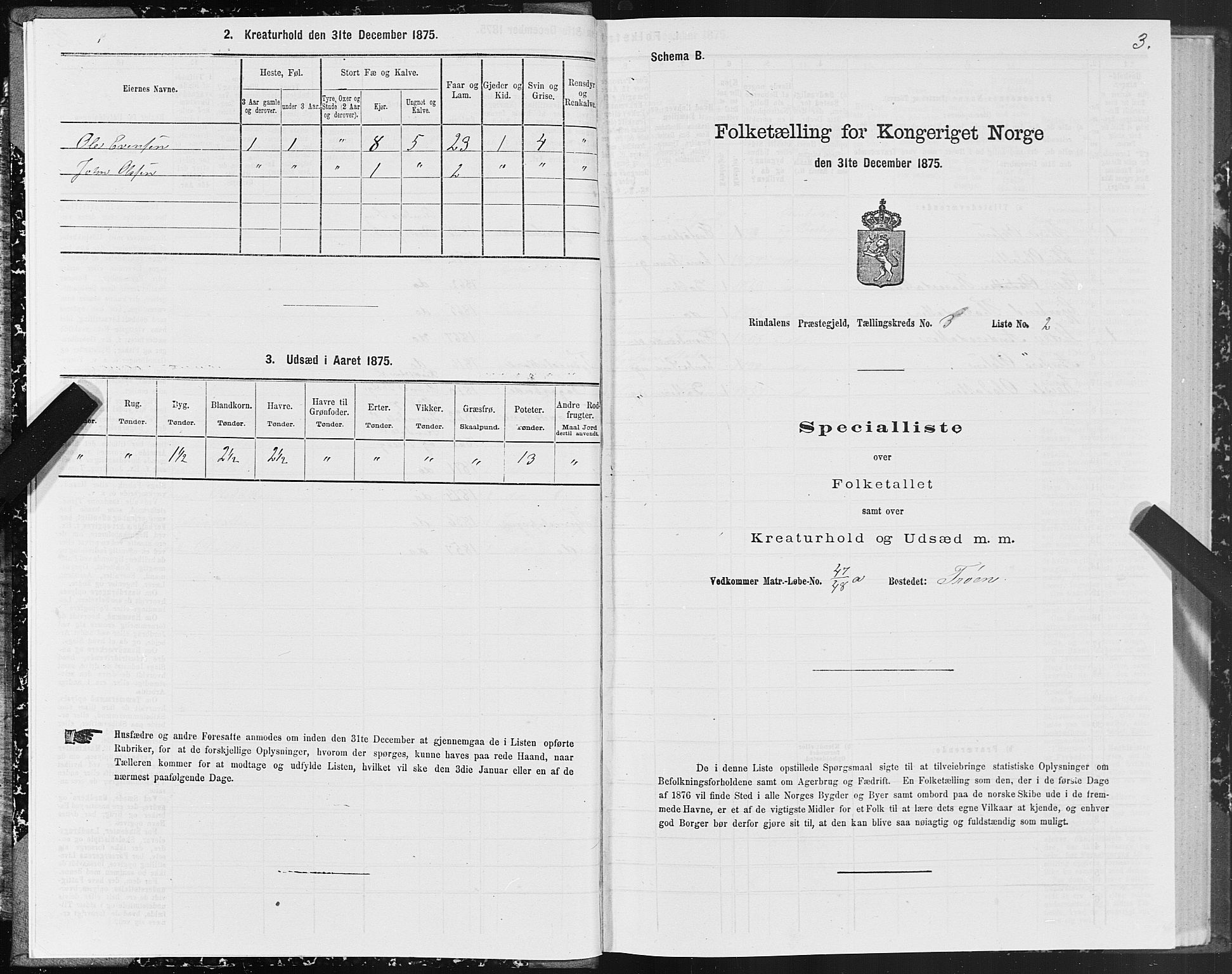 SAT, 1875 census for 1567P Rindal, 1875, p. 2003