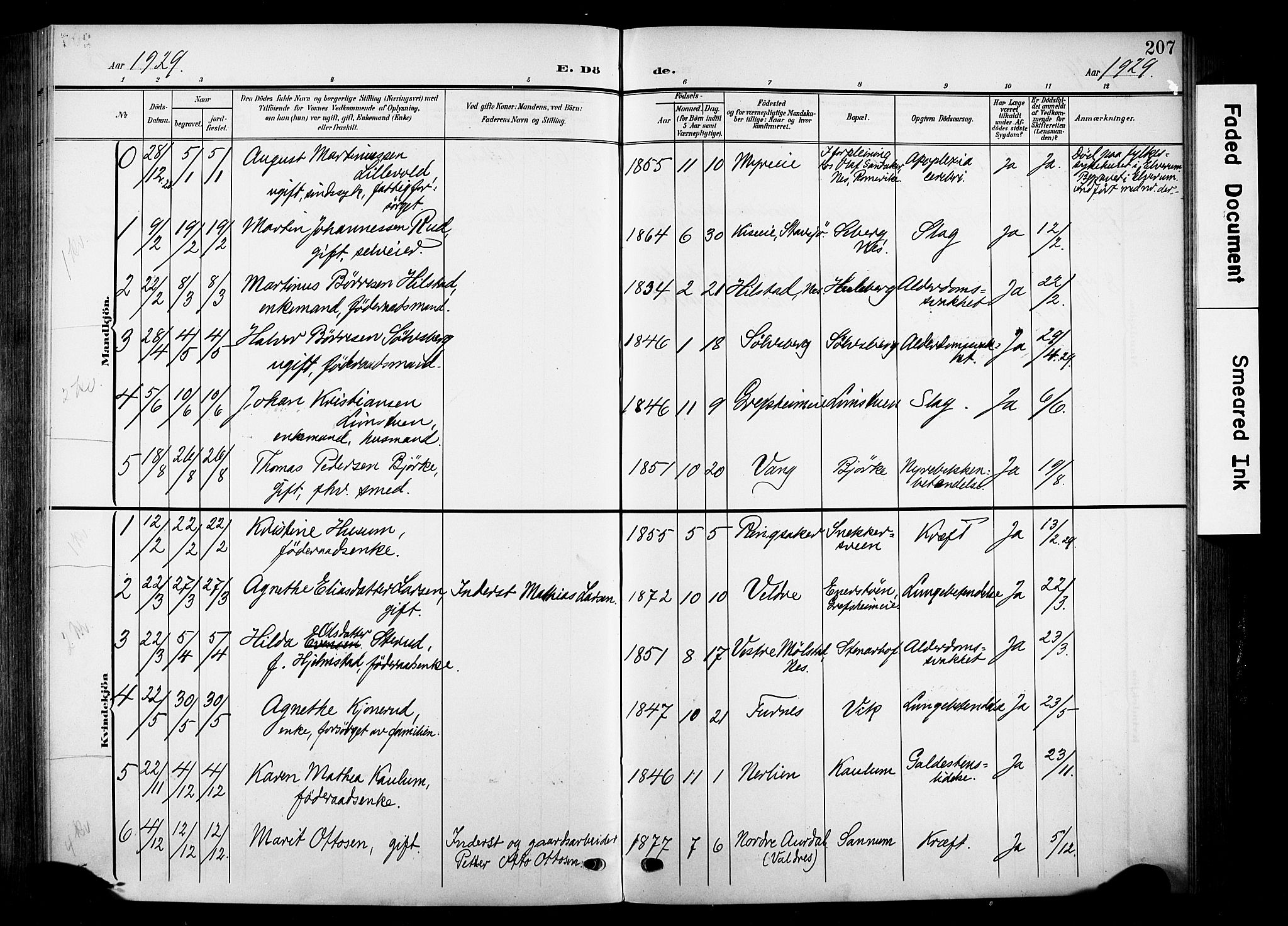 Nes prestekontor, Hedmark, SAH/PREST-020/K/Ka/L0014: Parish register (official) no. 14, 1906-1929, p. 207