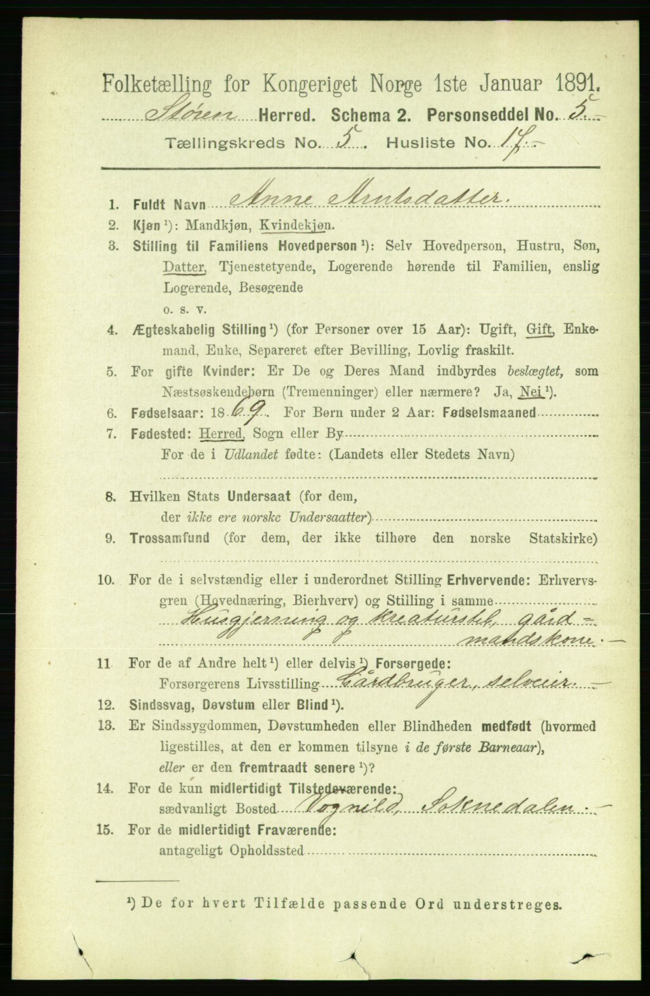 RA, 1891 census for 1648 Støren, 1891, p. 2037