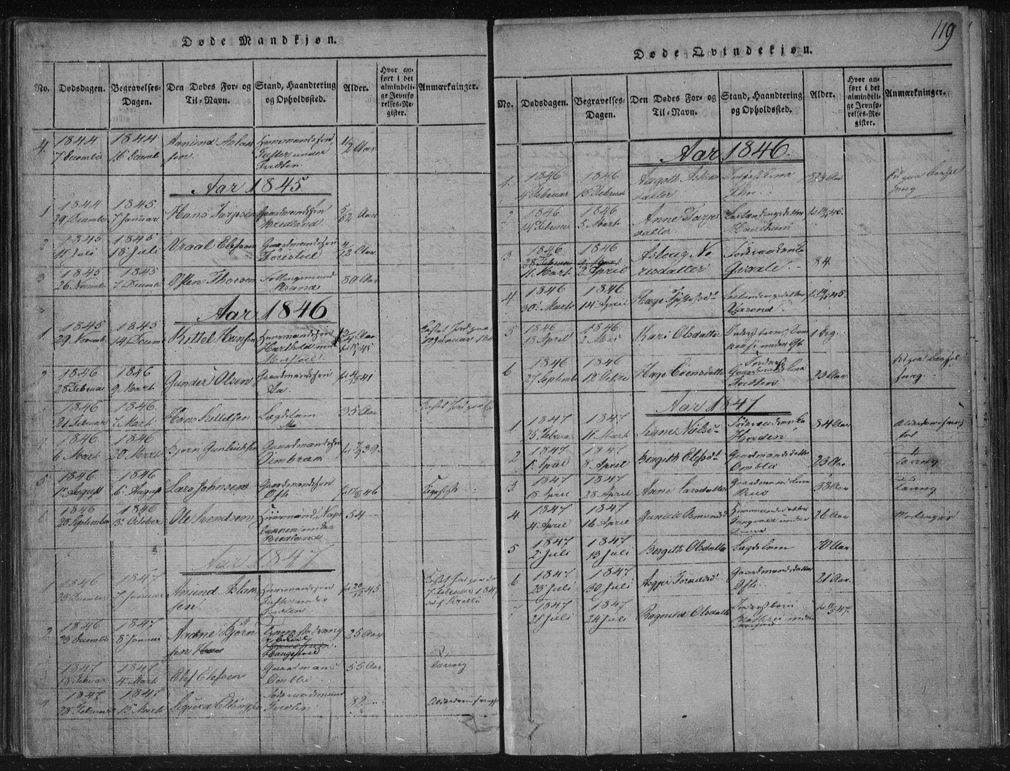 Lårdal kirkebøker, SAKO/A-284/F/Fc/L0001: Parish register (official) no. III 1, 1815-1860, p. 119