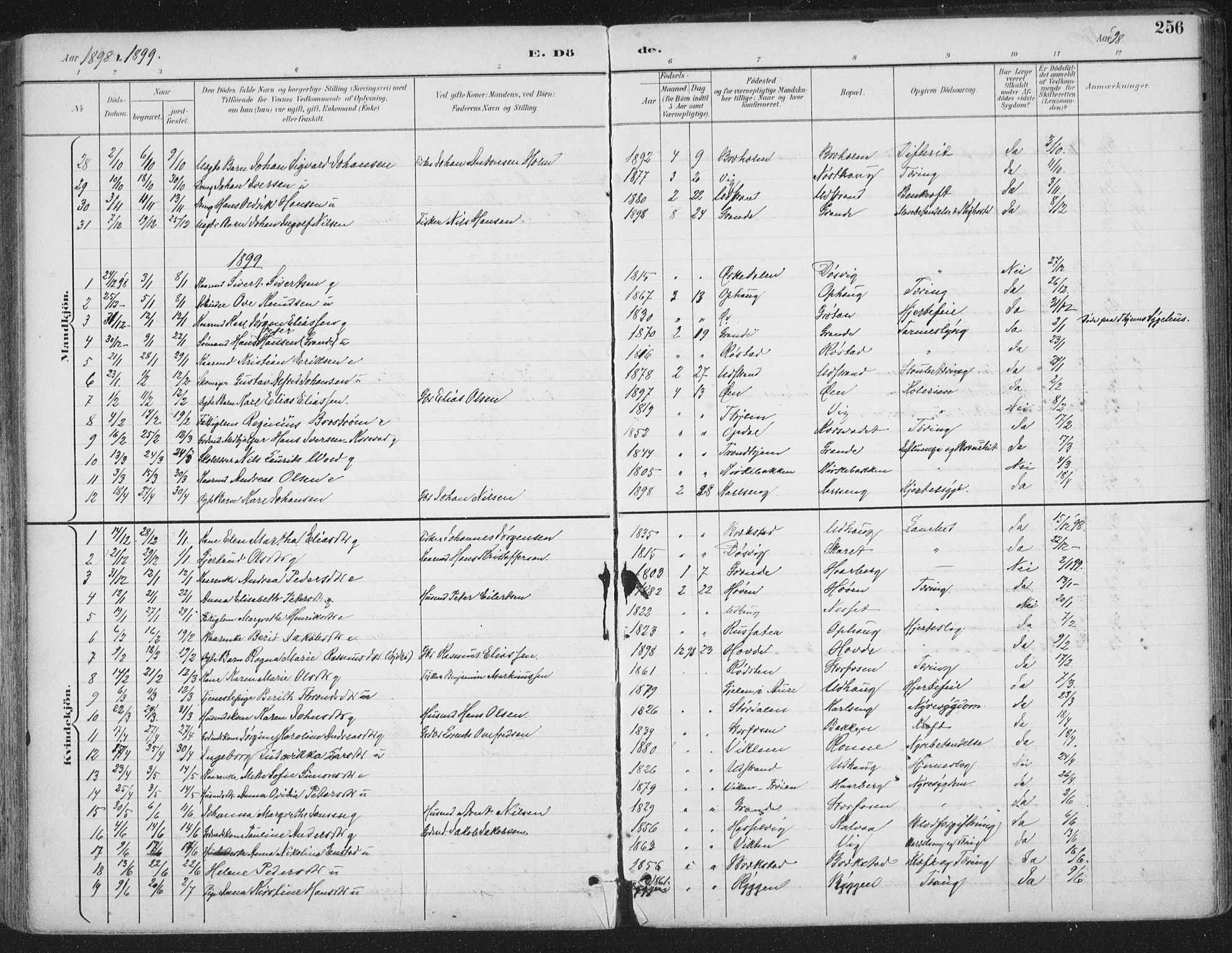 Ministerialprotokoller, klokkerbøker og fødselsregistre - Sør-Trøndelag, SAT/A-1456/659/L0743: Parish register (official) no. 659A13, 1893-1910, p. 256