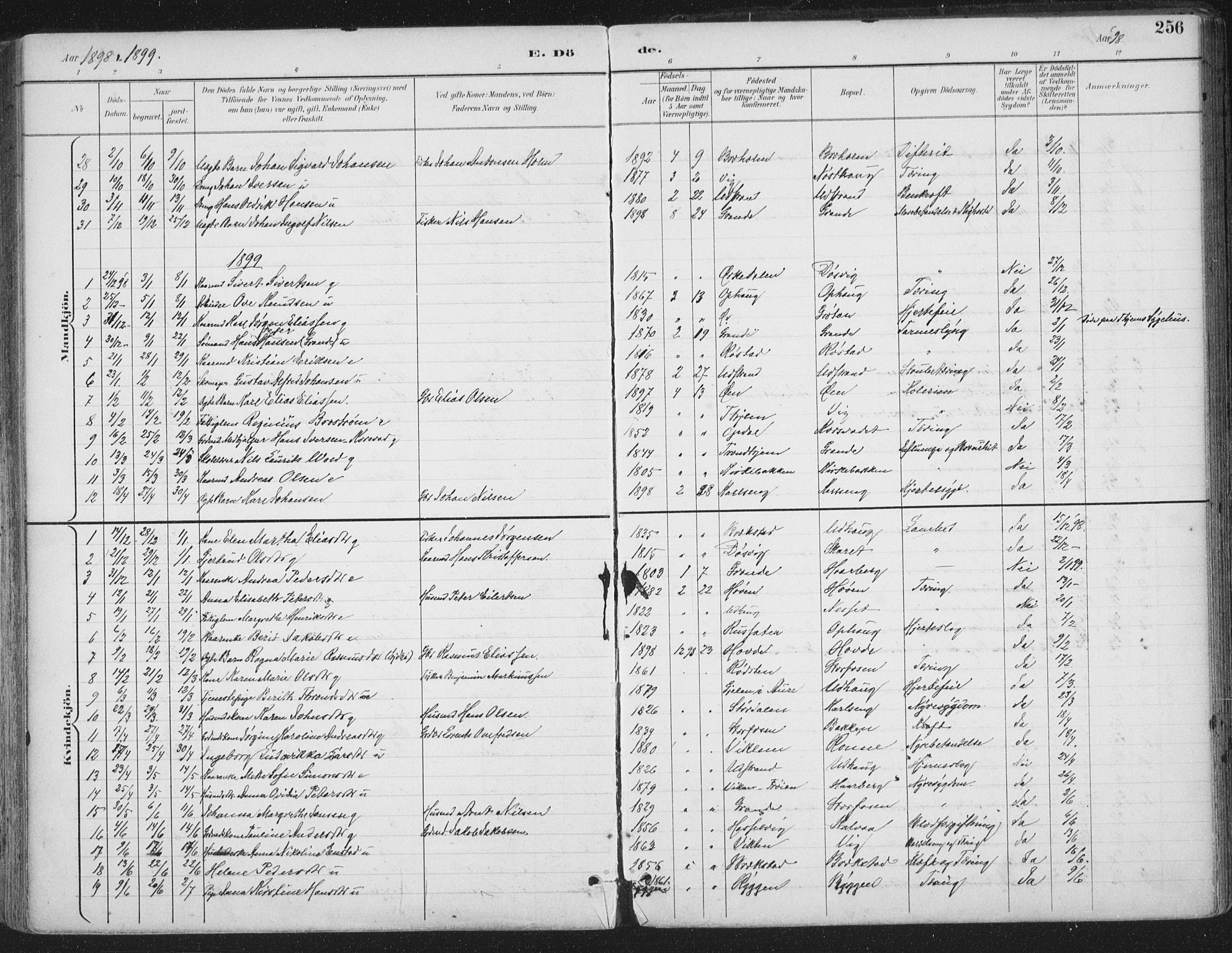 Ministerialprotokoller, klokkerbøker og fødselsregistre - Sør-Trøndelag, AV/SAT-A-1456/659/L0743: Parish register (official) no. 659A13, 1893-1910, p. 256