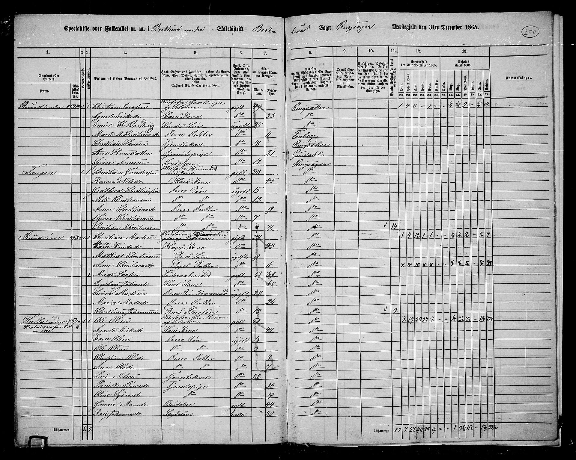 RA, 1865 census for Ringsaker, 1865, p. 484