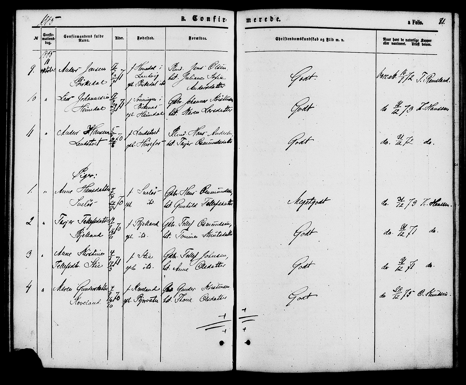 Herefoss sokneprestkontor, SAK/1111-0019/F/Fa/Faa/L0002: Parish register (official) no. A 2, 1861-1886, p. 81