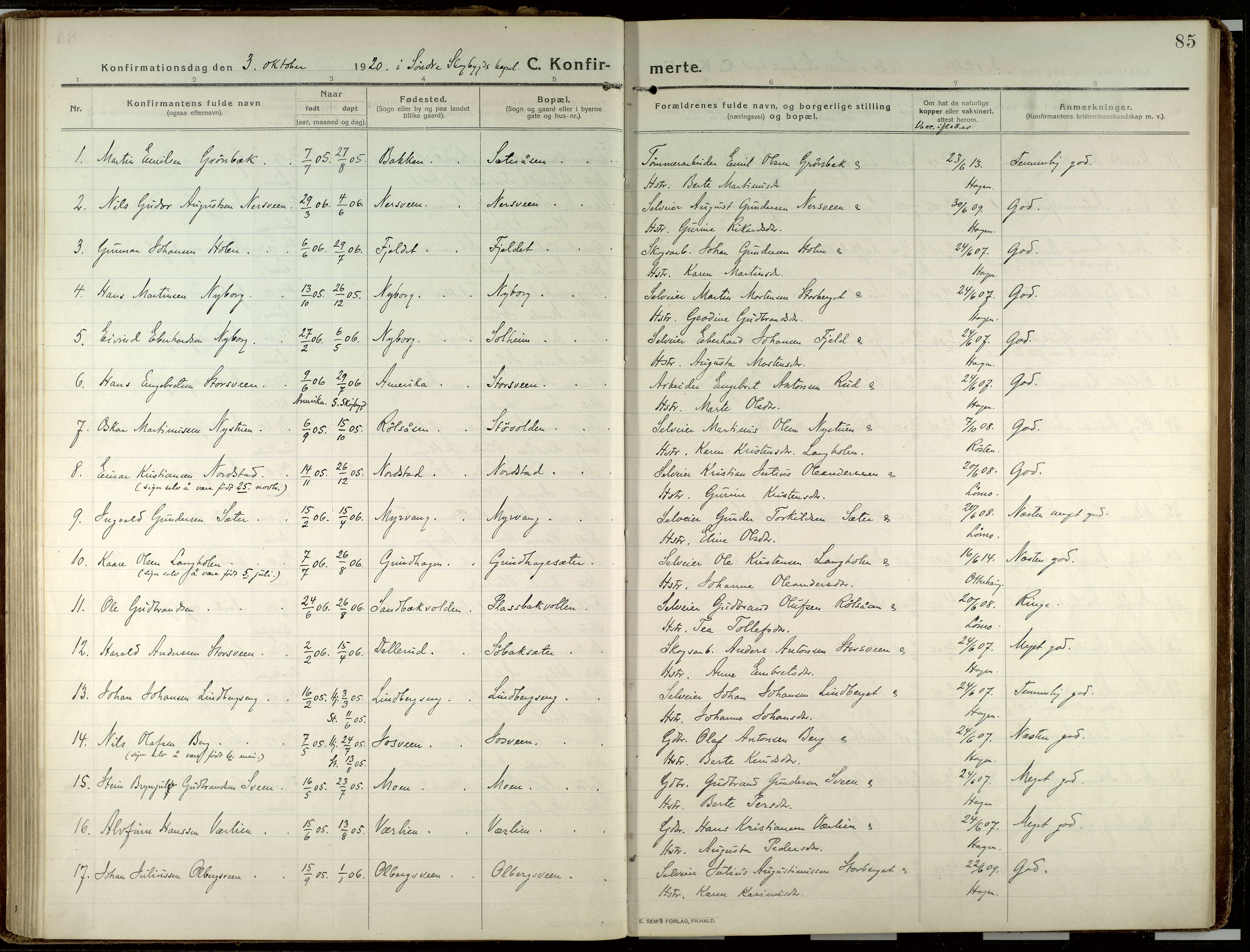 Elverum prestekontor, AV/SAH-PREST-044/H/Ha/Haa/L0023: Parish register (official) no. 23, 1914-1929, p. 85