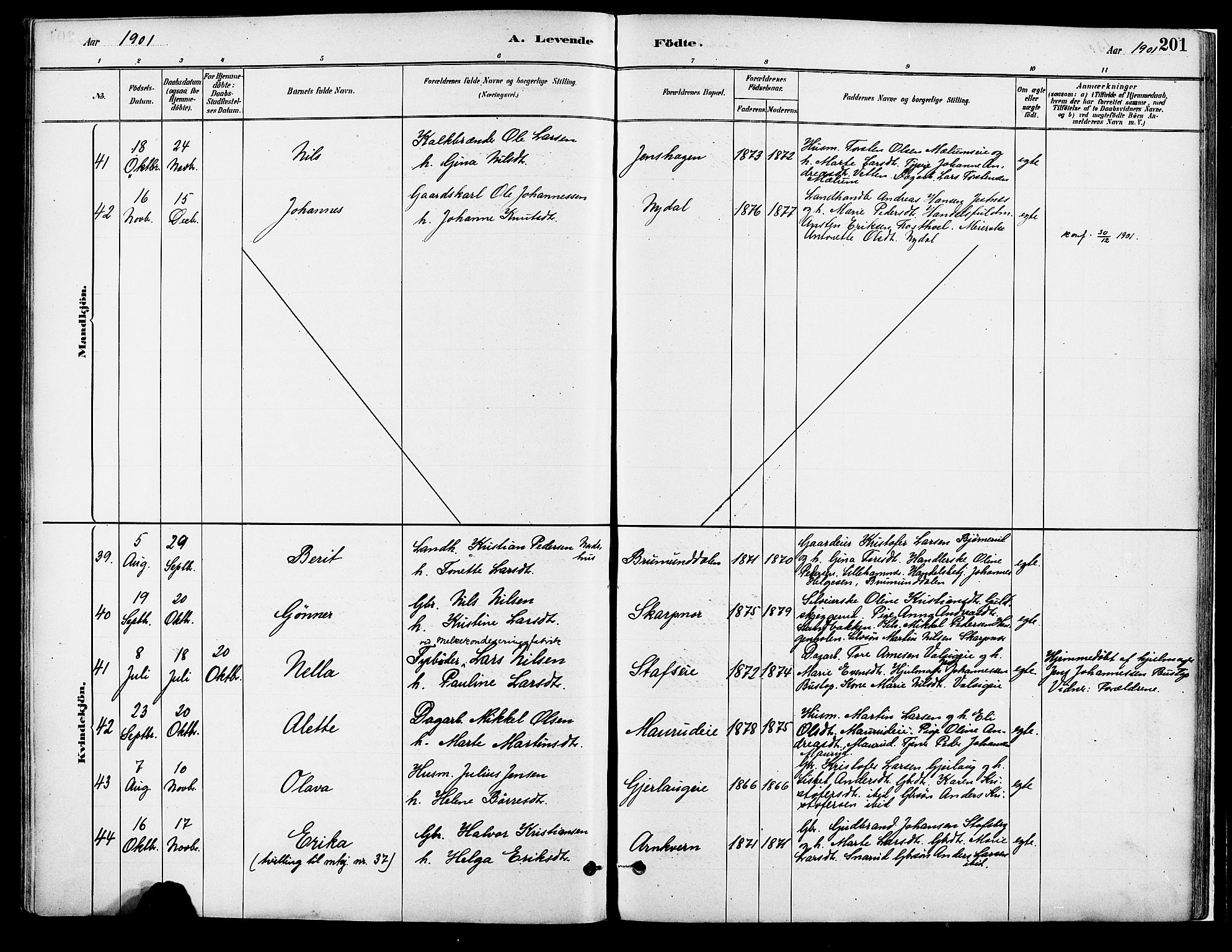 Vang prestekontor, Hedmark, AV/SAH-PREST-008/H/Ha/Haa/L0018A: Parish register (official) no. 18A, 1880-1906, p. 201