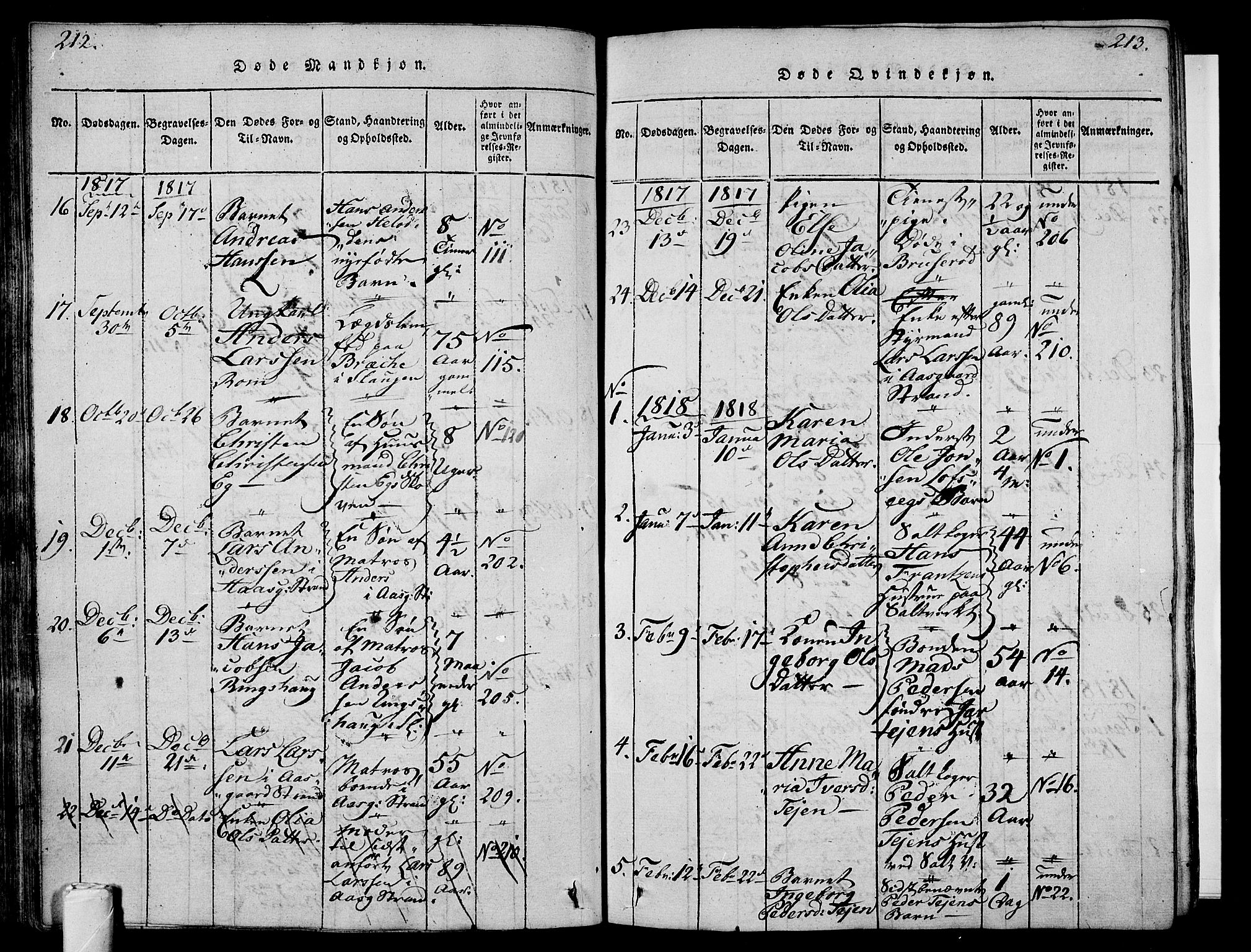 Sem kirkebøker, AV/SAKO-A-5/F/Fa/L0004: Parish register (official) no. I 4, 1814-1825, p. 212-213