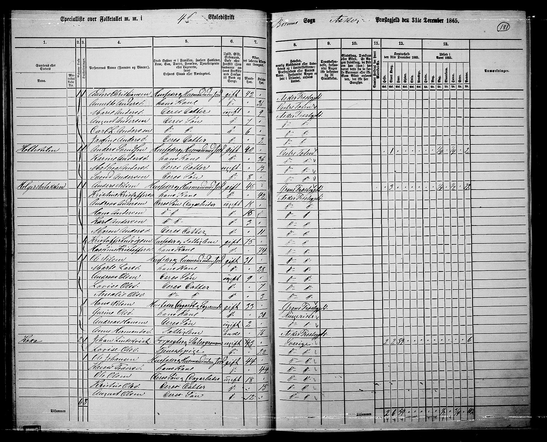 RA, 1865 census for Asker, 1865, p. 178