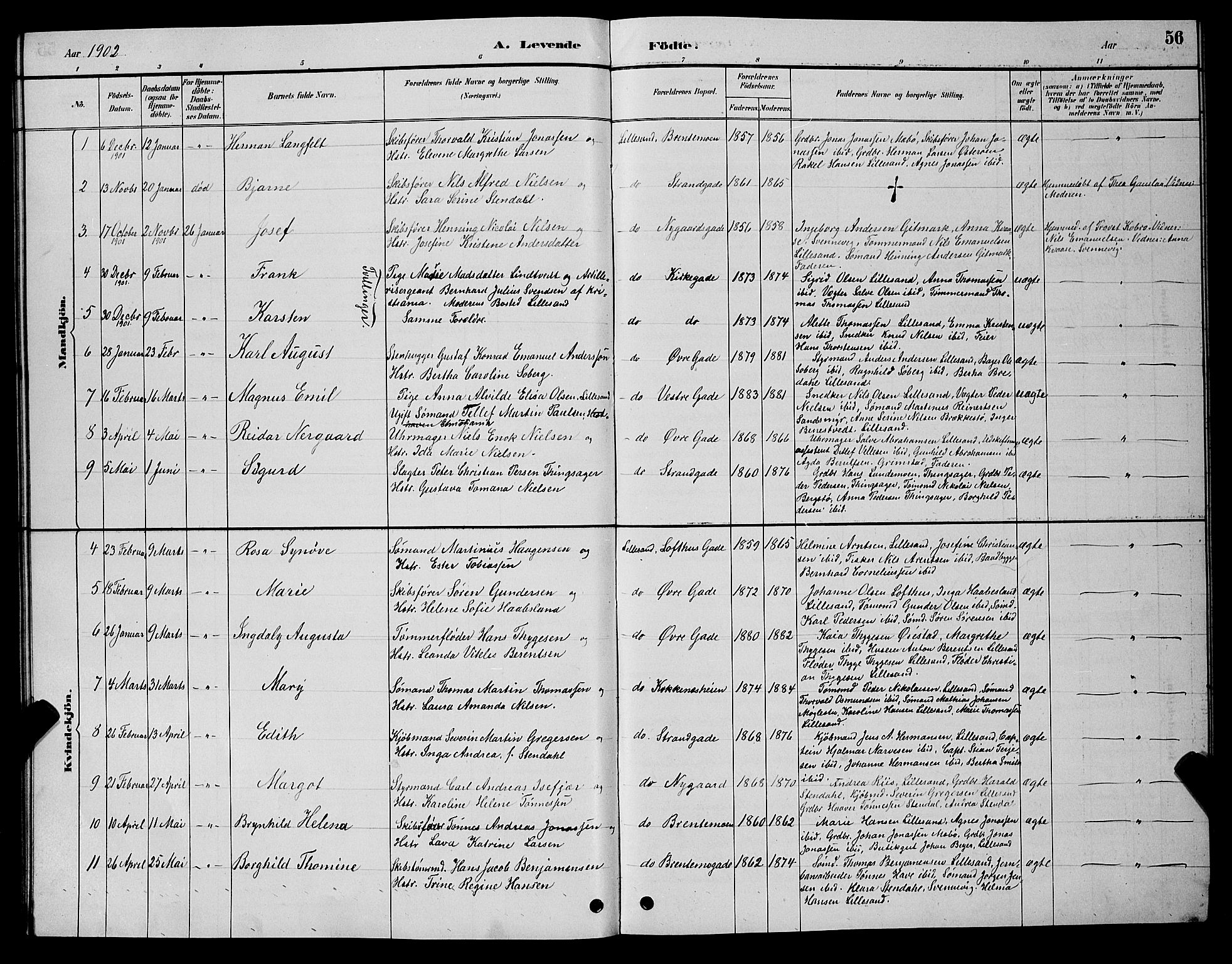Vestre Moland sokneprestkontor, AV/SAK-1111-0046/F/Fb/Fba/L0001: Parish register (copy) no. B 1, 1884-1903, p. 56
