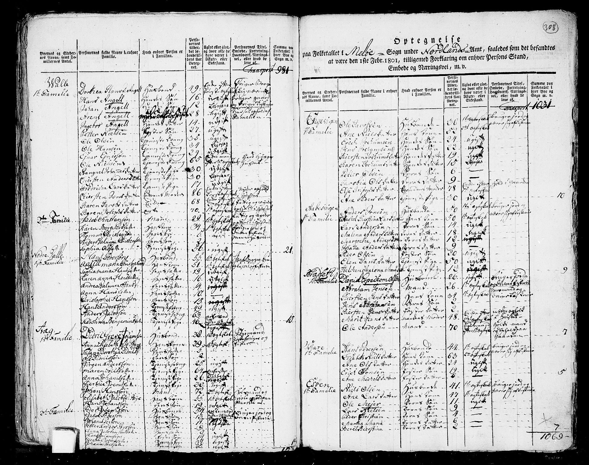 RA, 1801 census for 1836P Rødøy, 1801, p. 307b-308a