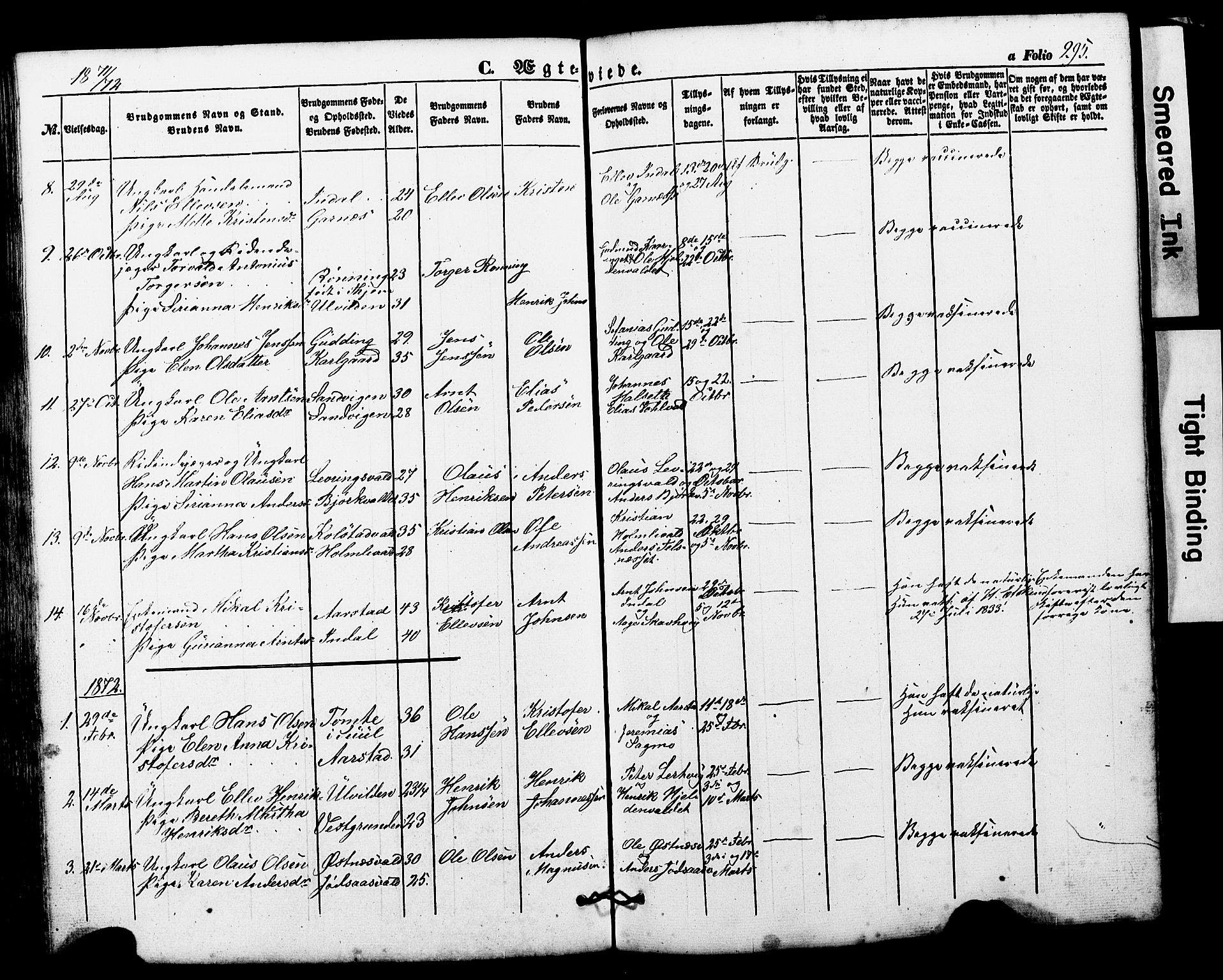 Ministerialprotokoller, klokkerbøker og fødselsregistre - Nord-Trøndelag, SAT/A-1458/724/L0268: Parish register (copy) no. 724C04, 1846-1878, p. 295