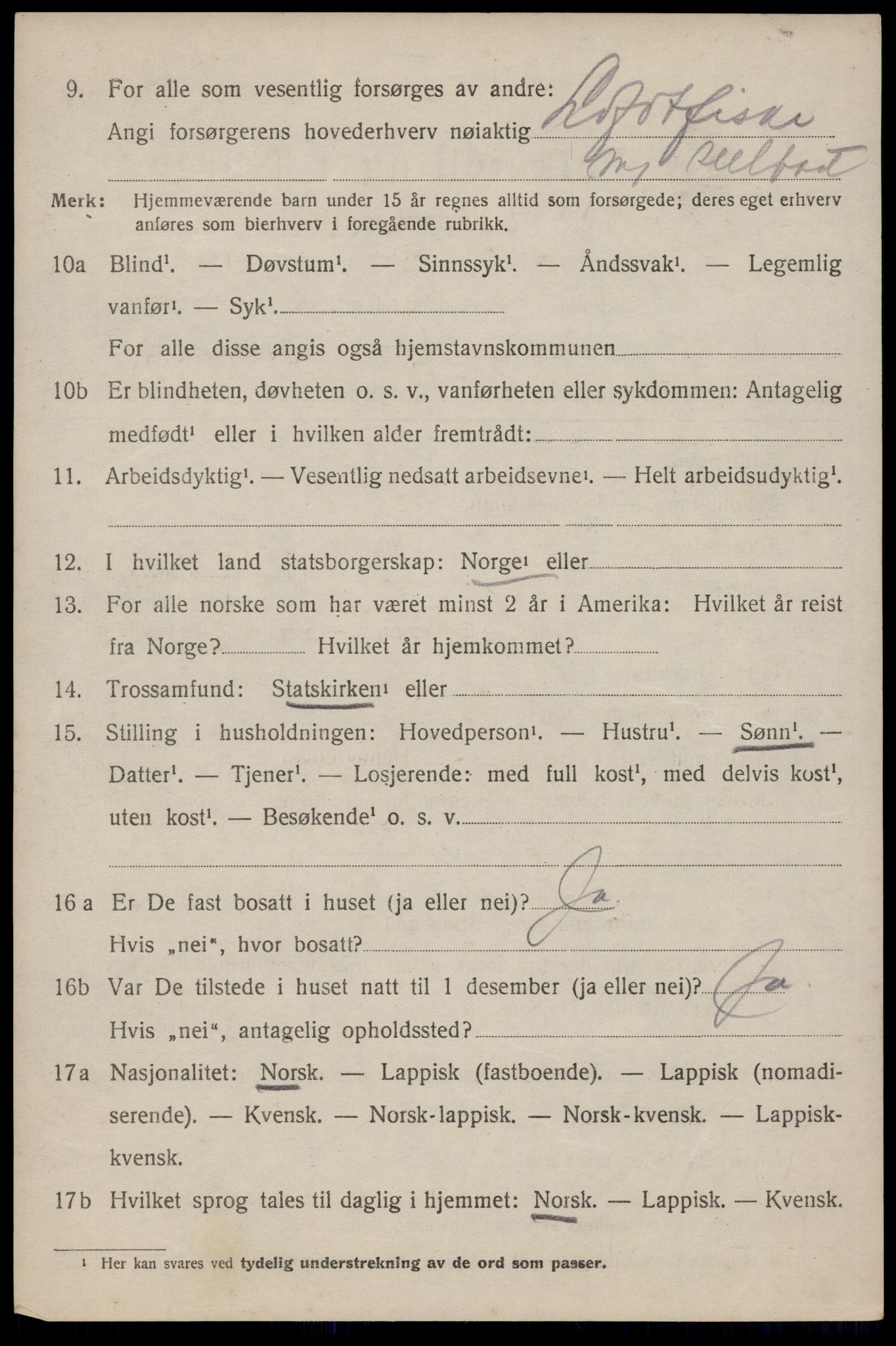 SAT, 1920 census for Buksnes, 1920, p. 6309