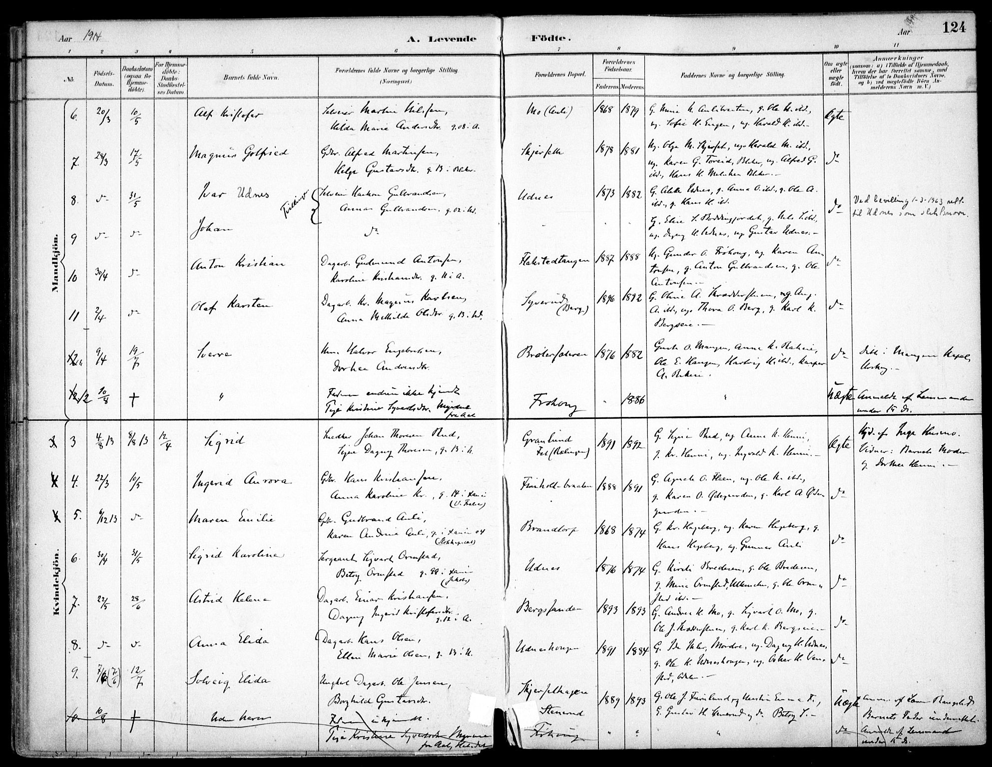 Nes prestekontor Kirkebøker, SAO/A-10410/F/Fc/L0002: Parish register (official) no. IIi 2, 1882-1916, p. 124