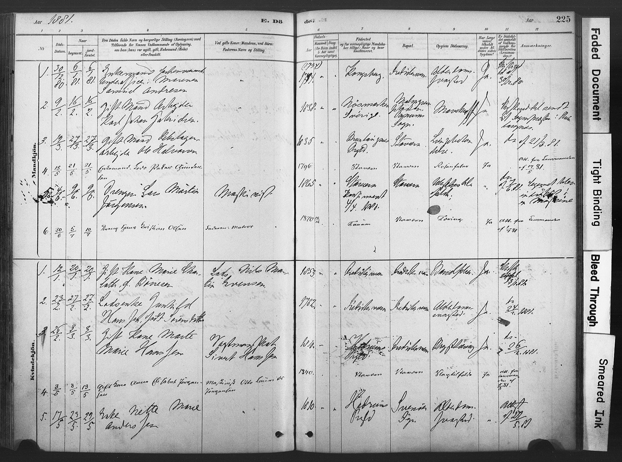 Stavern kirkebøker, AV/SAKO-A-318/F/Fa/L0008: Parish register (official) no. 8, 1878-1905, p. 225