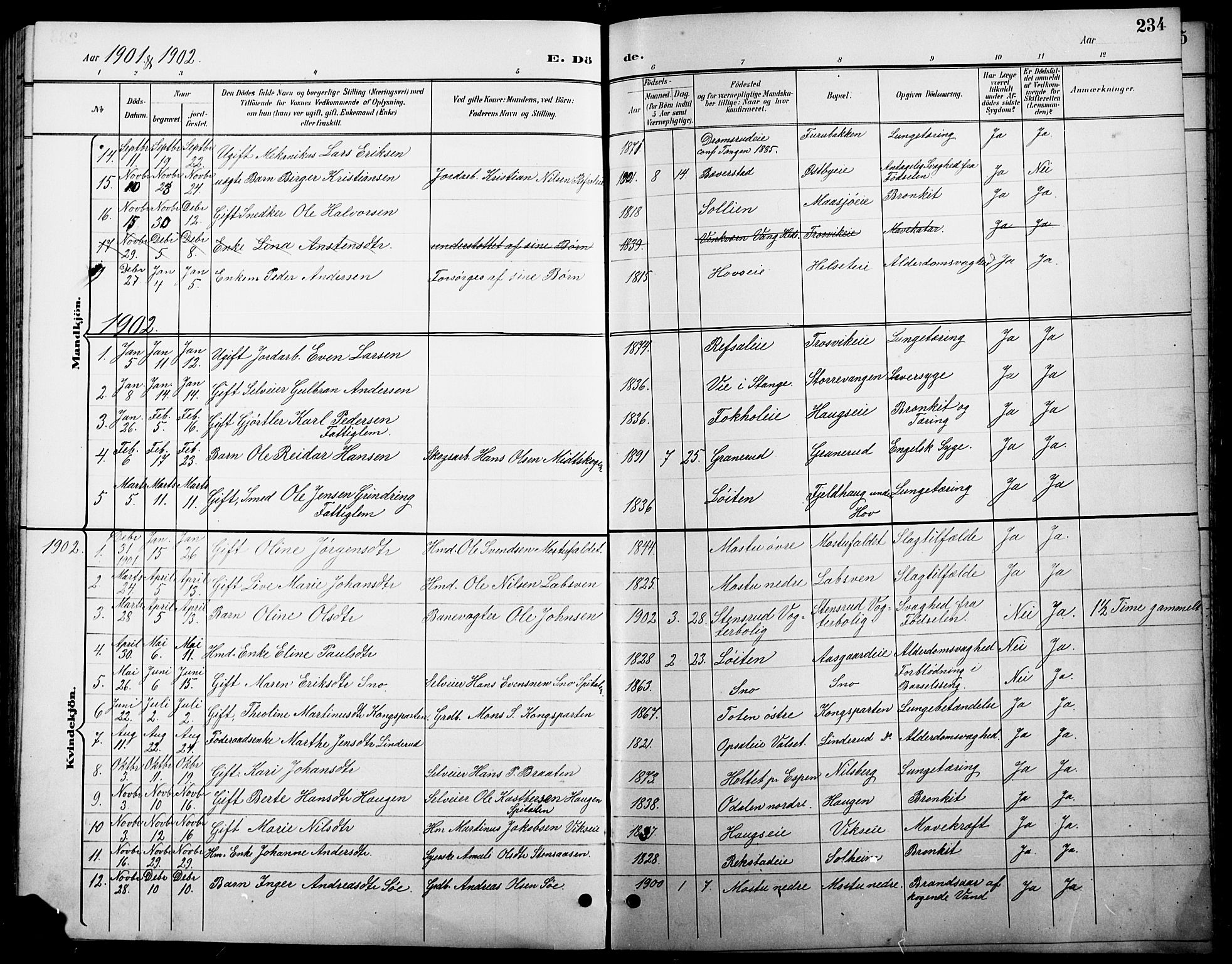 Stange prestekontor, SAH/PREST-002/L/L0011: Parish register (copy) no. 11, 1895-1917, p. 234
