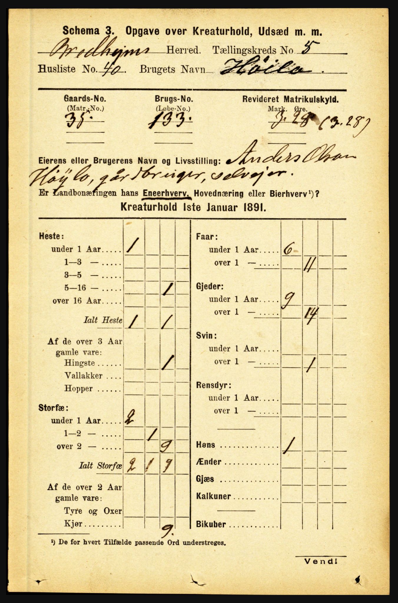 RA, 1891 census for 1446 Breim, 1891, p. 2852