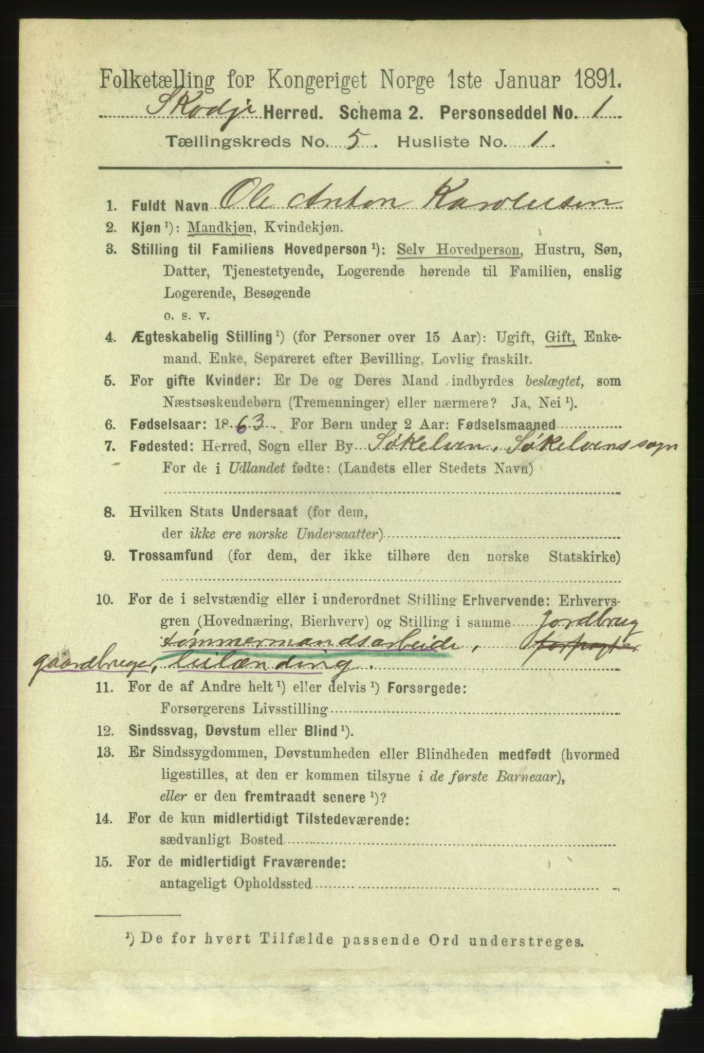 RA, 1891 census for 1529 Skodje, 1891, p. 801