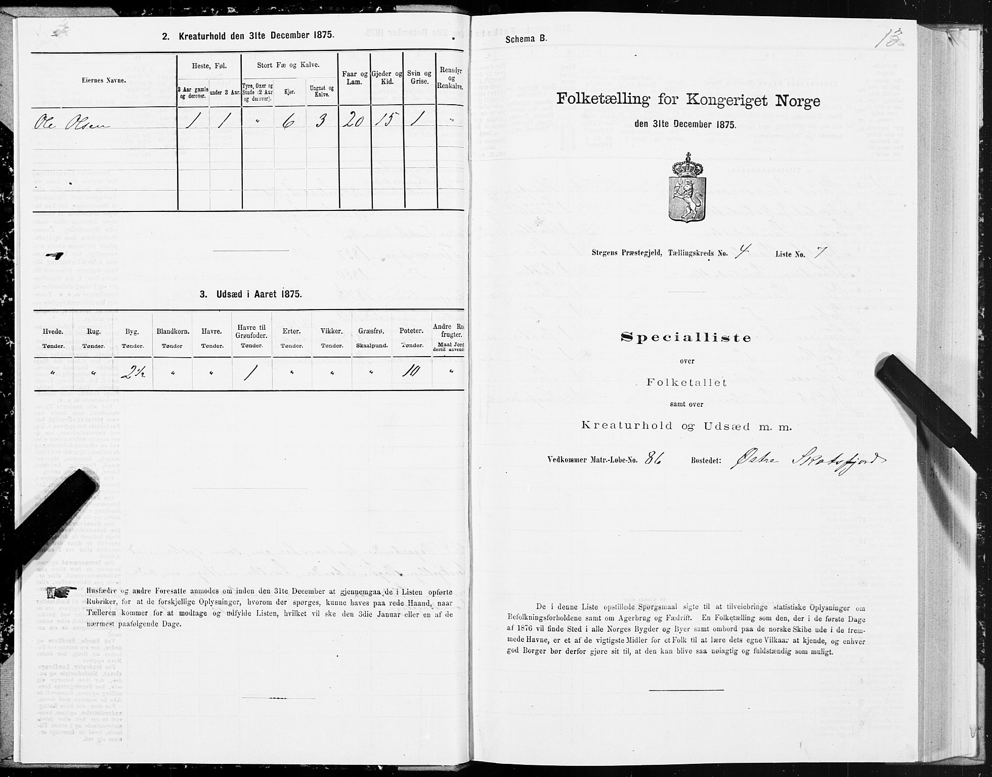 SAT, 1875 census for 1848P Steigen, 1875, p. 2013