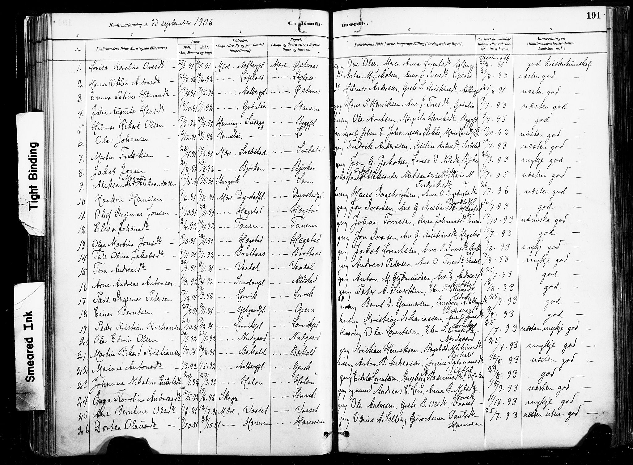 Ministerialprotokoller, klokkerbøker og fødselsregistre - Nord-Trøndelag, SAT/A-1458/735/L0351: Parish register (official) no. 735A10, 1884-1908, p. 191