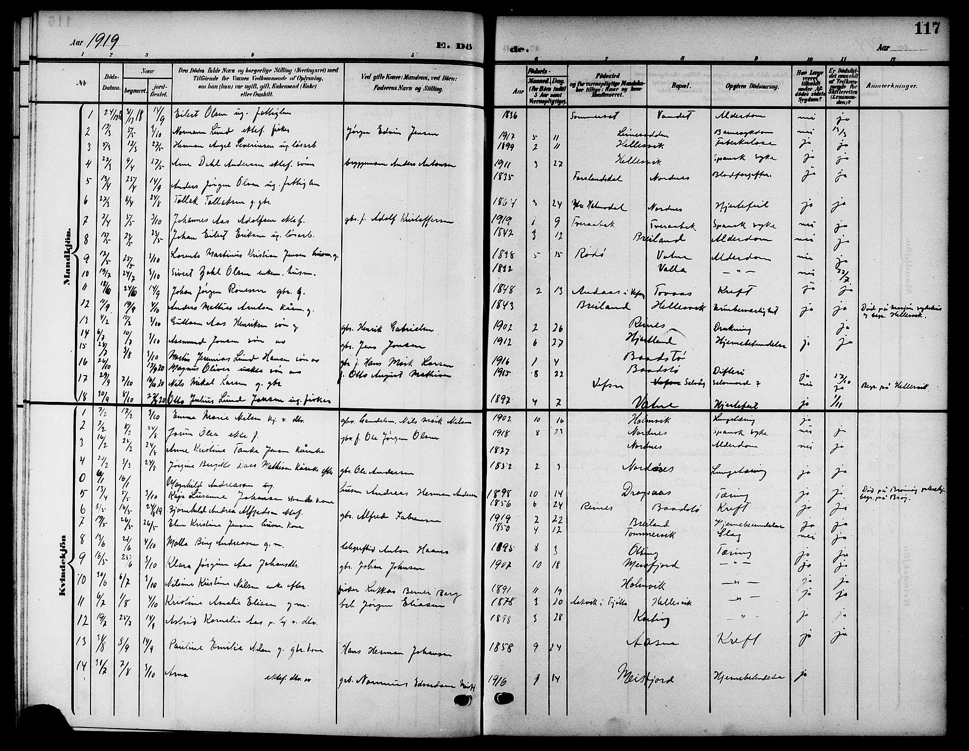 Ministerialprotokoller, klokkerbøker og fødselsregistre - Nordland, SAT/A-1459/832/L0494: Parish register (copy) no. 832C01, 1906-1922, p. 117