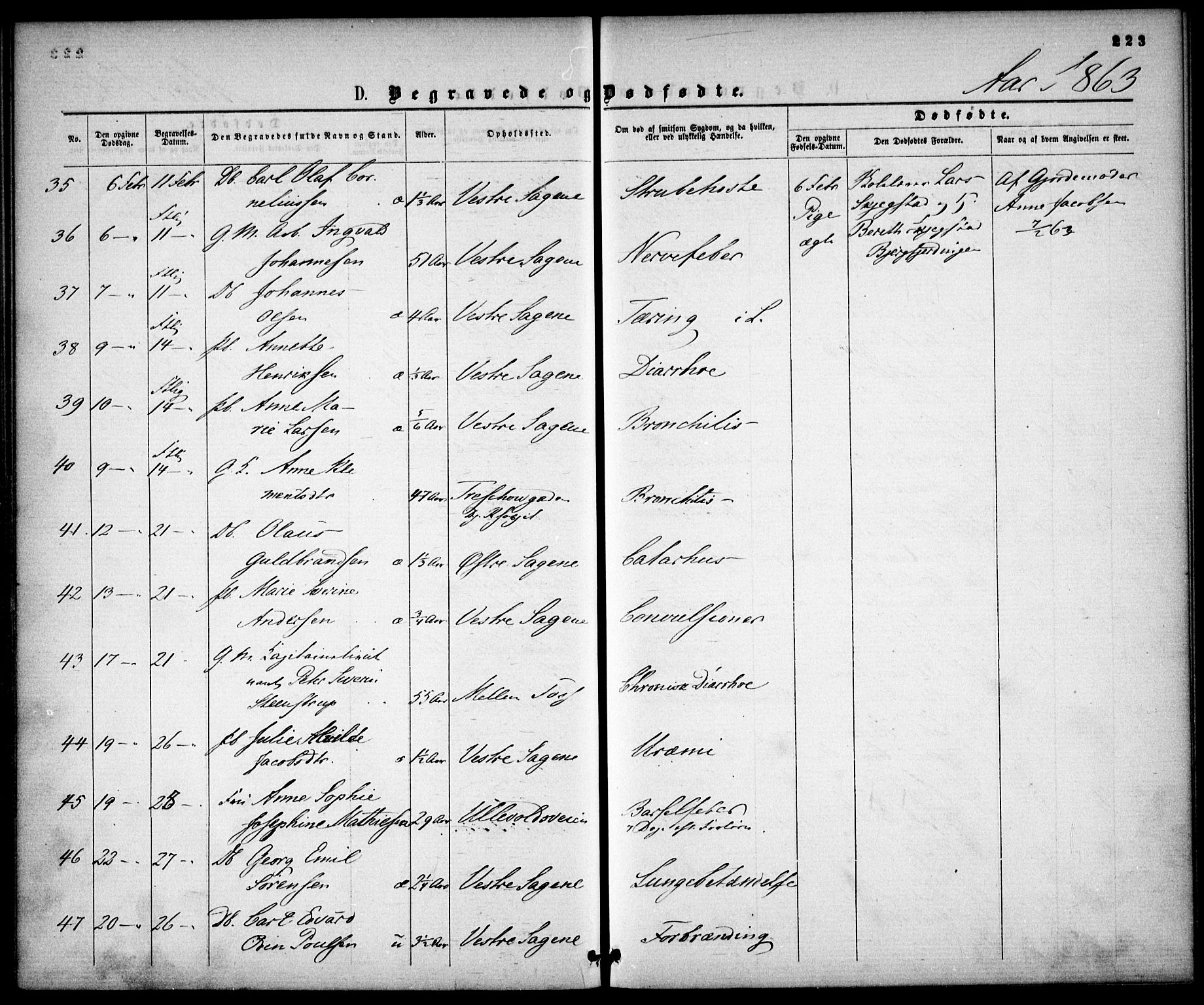 Gamle Aker prestekontor Kirkebøker, SAO/A-10617a/F/L0001: Parish register (official) no. 1, 1861-1865, p. 223