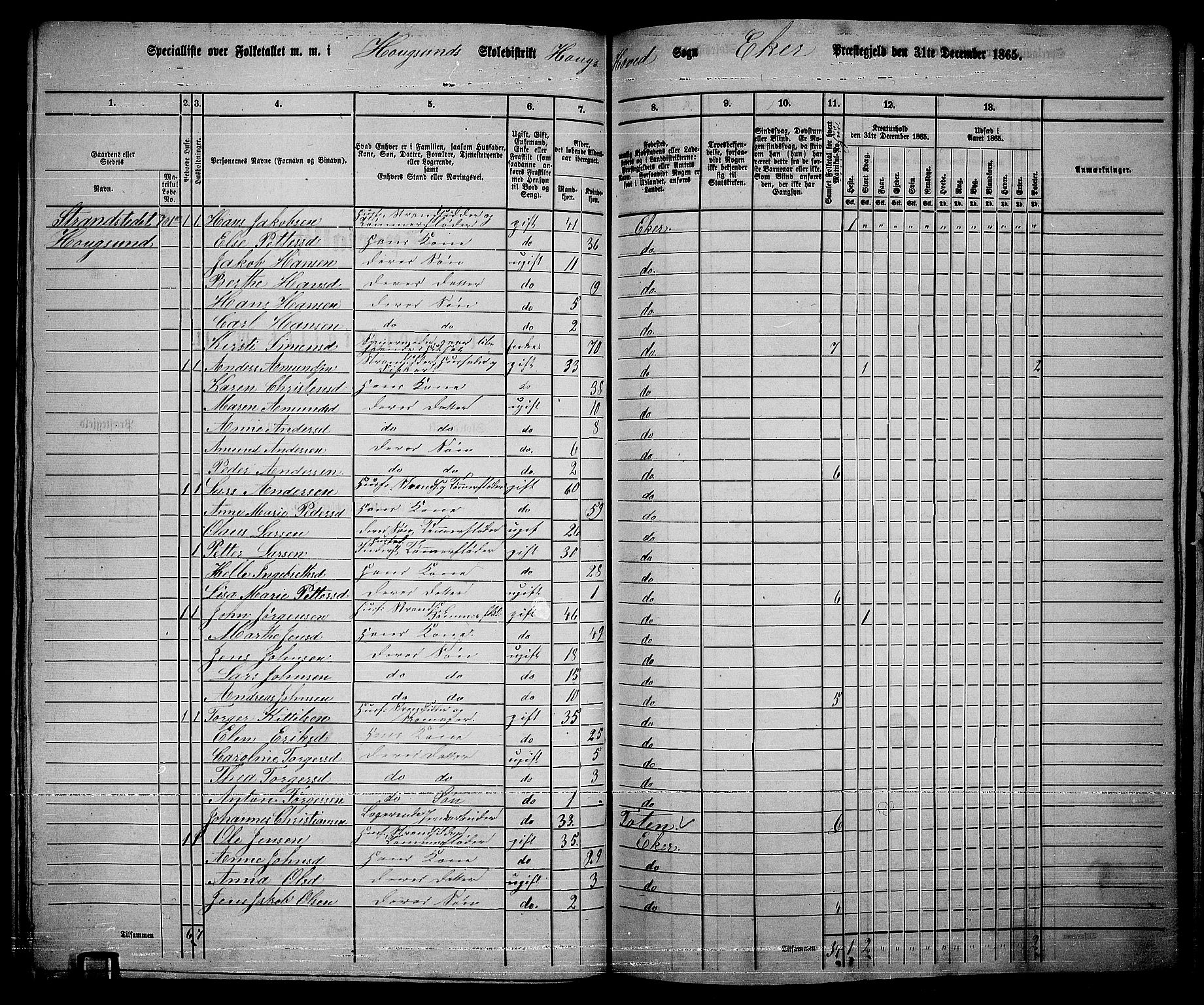 RA, 1865 census for Eiker, 1865, p. 199