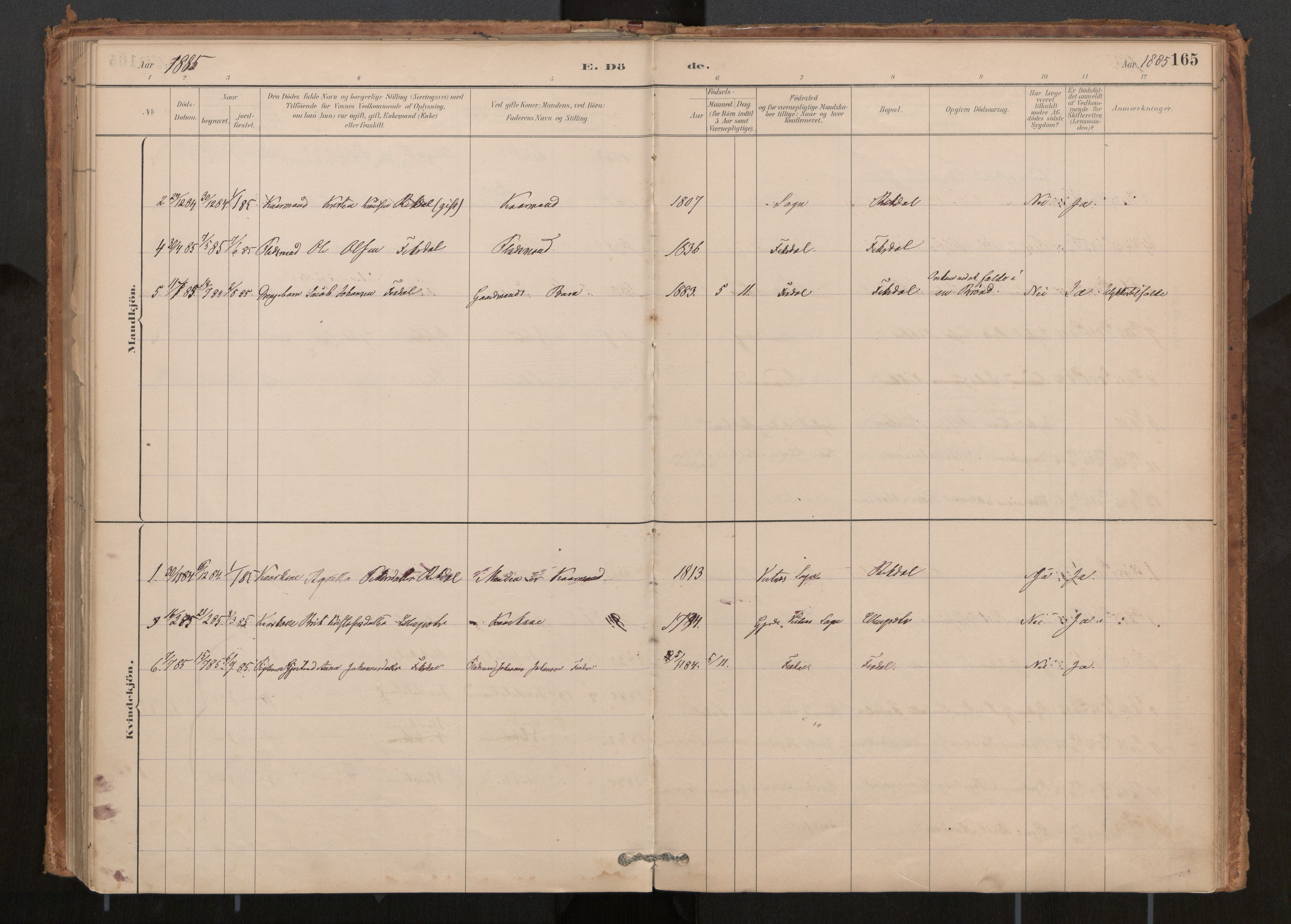 Ministerialprotokoller, klokkerbøker og fødselsregistre - Møre og Romsdal, AV/SAT-A-1454/540/L0540a: Parish register (official) no. 540A02, 1884-1908, p. 165