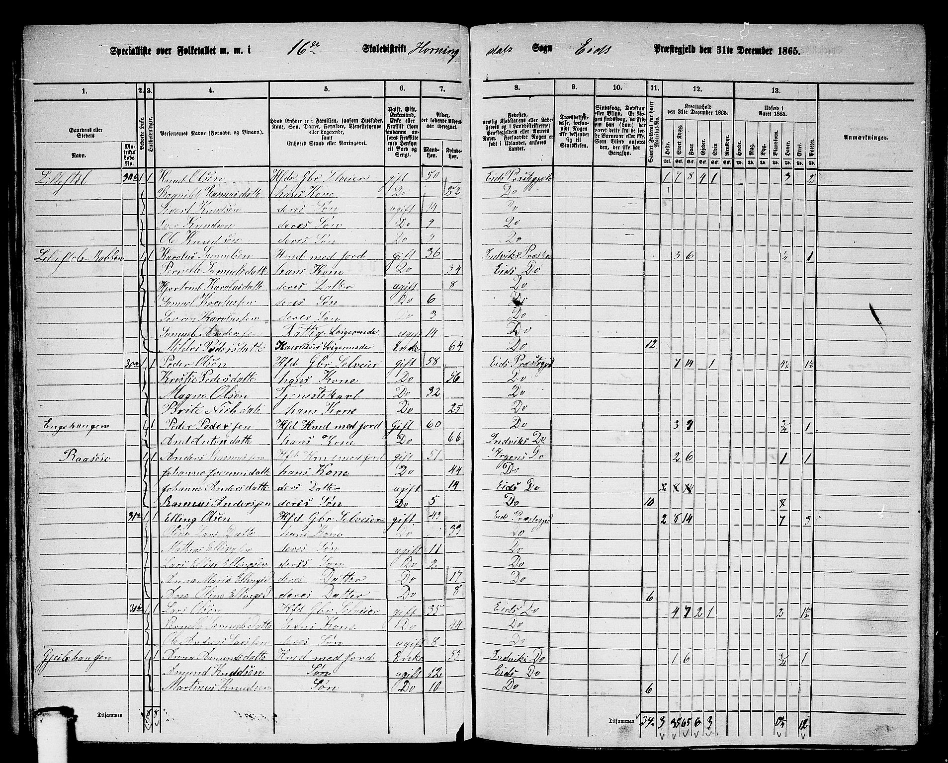 RA, 1865 census for Eid, 1865, p. 64