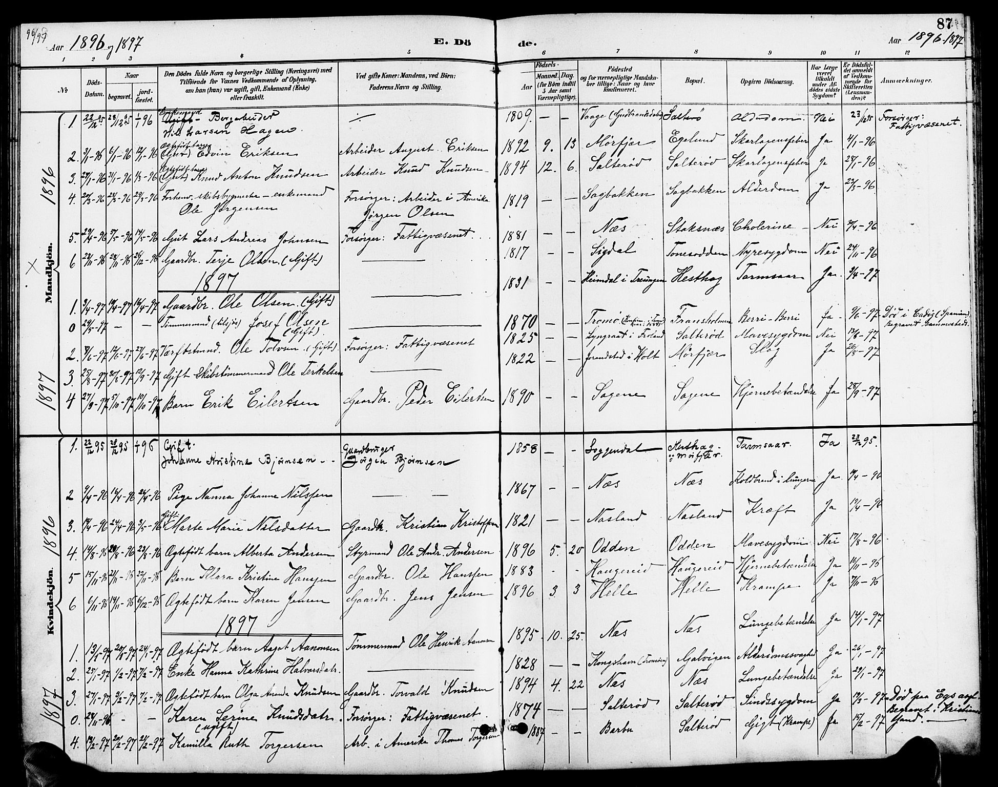 Austre Moland sokneprestkontor, SAK/1111-0001/F/Fb/Fbb/L0002: Parish register (copy) no. B 2, 1894-1918, p. 87