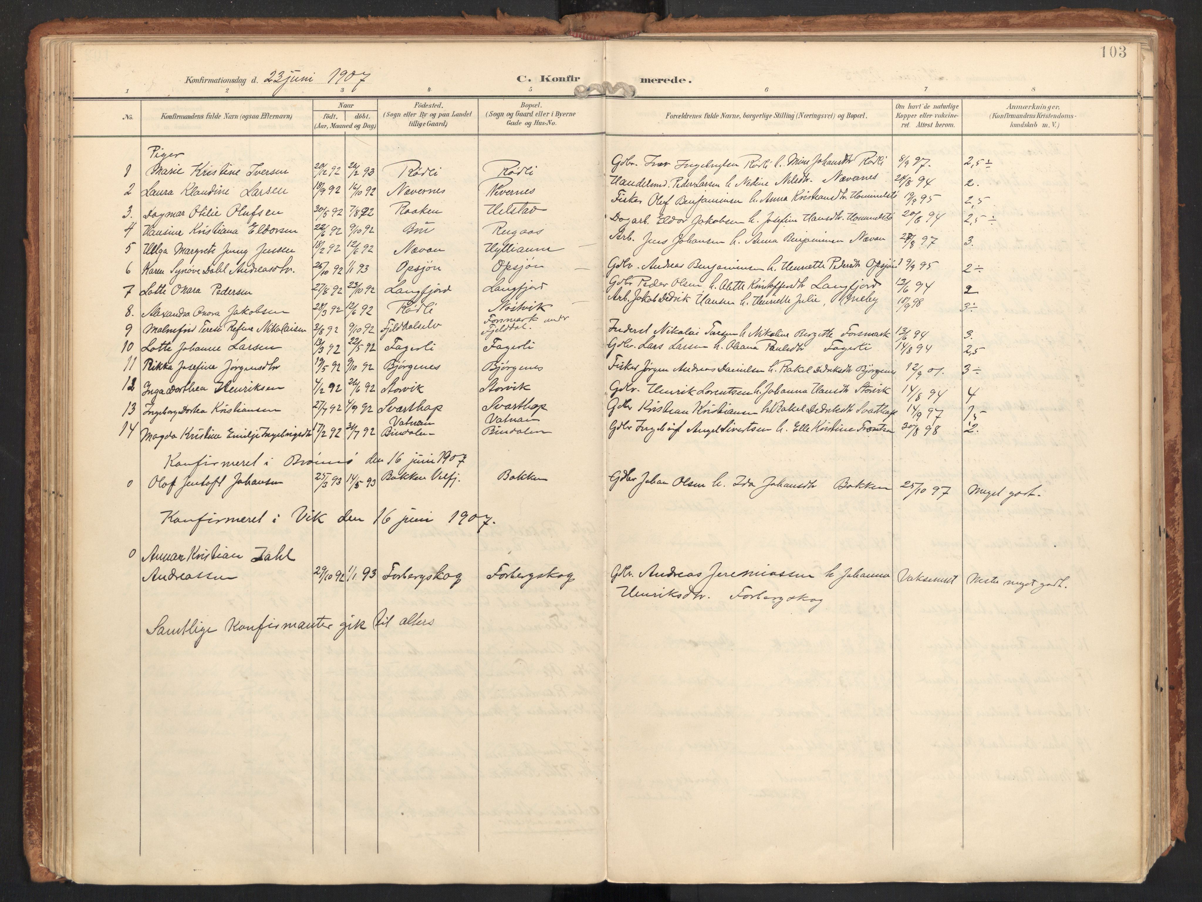 Ministerialprotokoller, klokkerbøker og fødselsregistre - Nordland, AV/SAT-A-1459/814/L0227: Parish register (official) no. 814A08, 1899-1920, p. 103