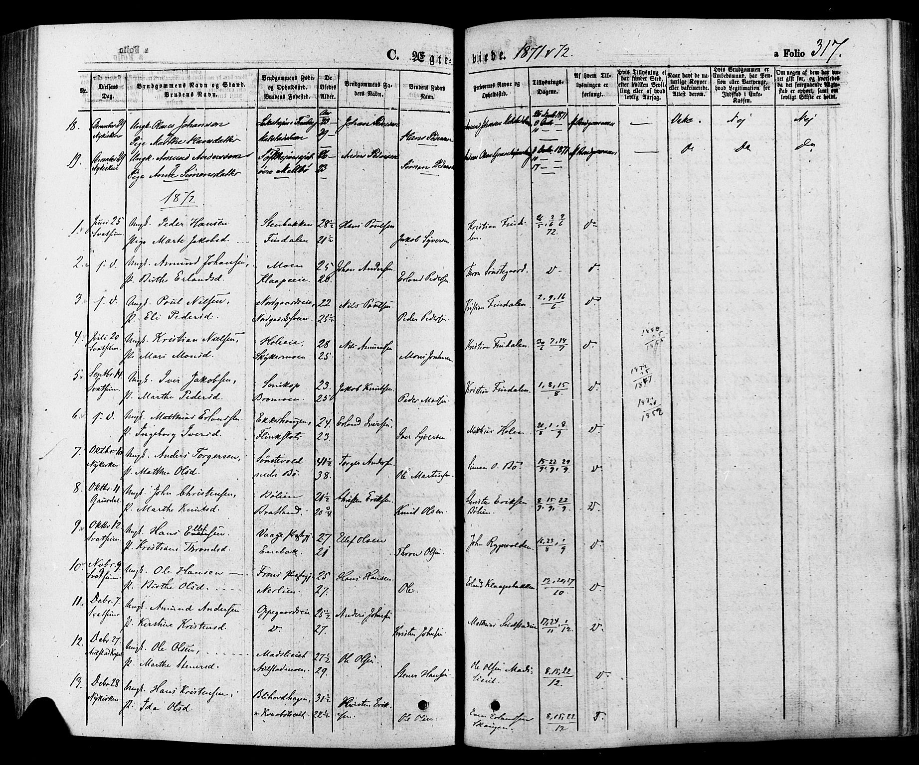 Gausdal prestekontor, SAH/PREST-090/H/Ha/Haa/L0010: Parish register (official) no. 10, 1867-1886, p. 317