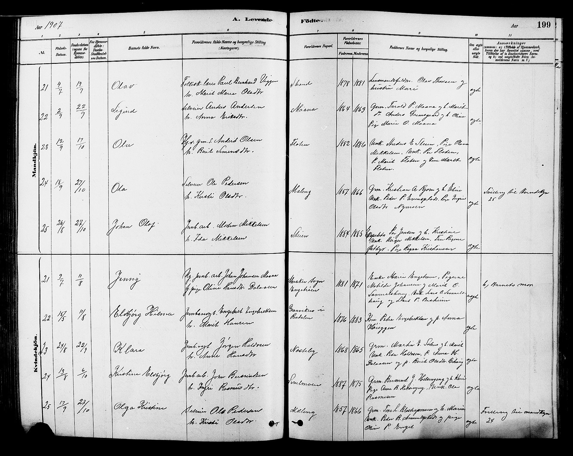 Alvdal prestekontor, AV/SAH-PREST-060/H/Ha/Hab/L0003: Parish register (copy) no. 3, 1878-1907, p. 199