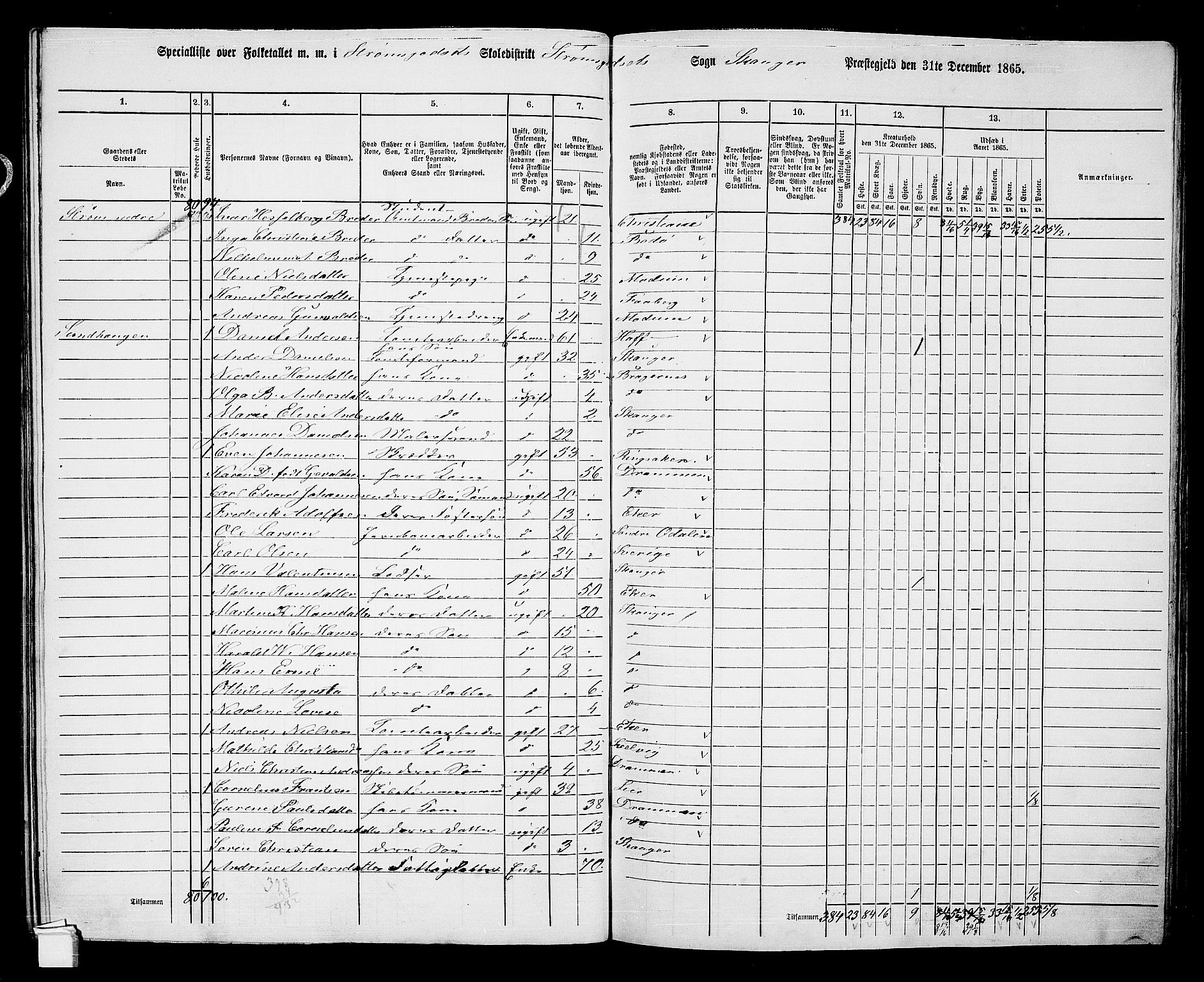 RA, 1865 census for Skoger, 1865, p. 130