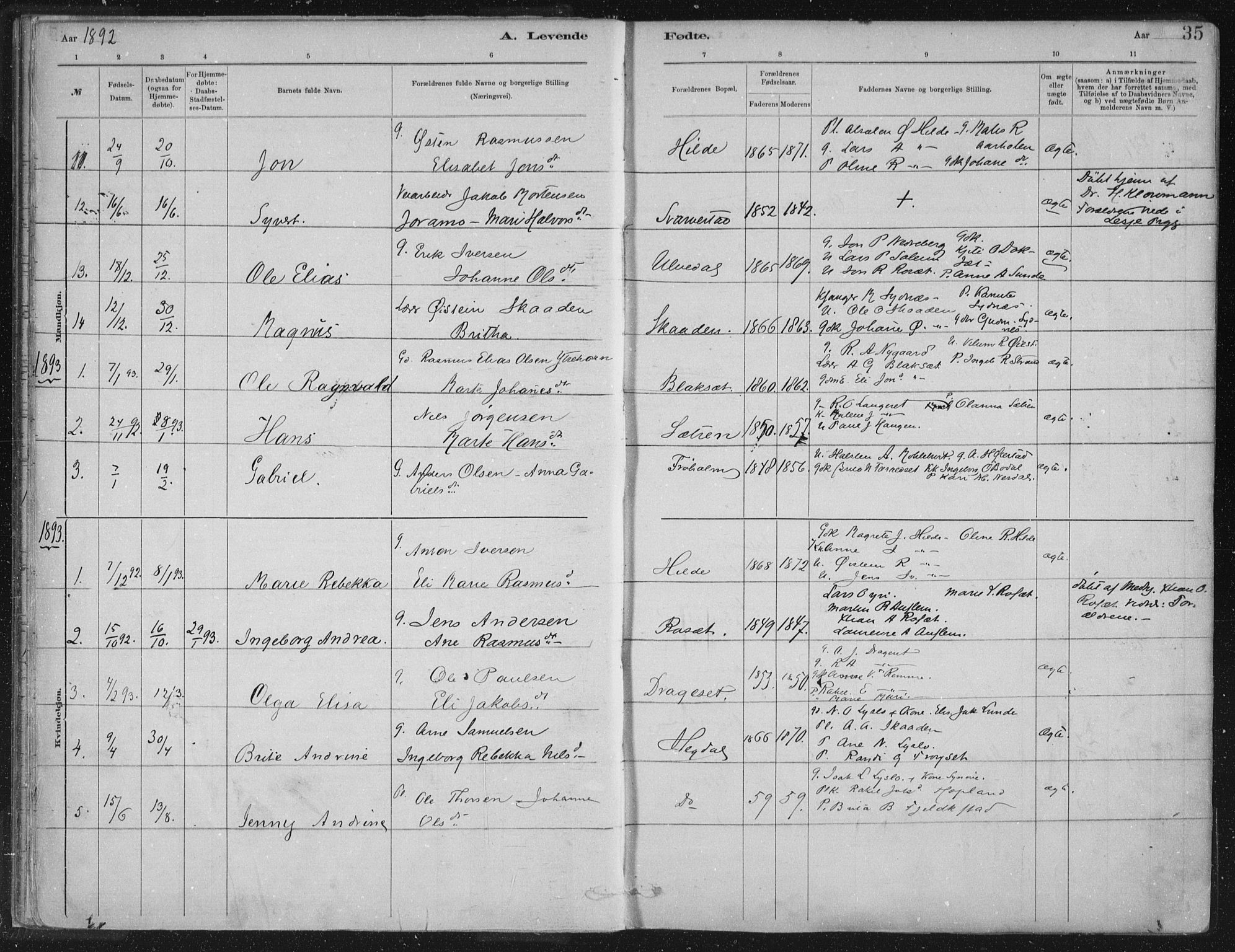 Innvik sokneprestembete, AV/SAB-A-80501: Parish register (official) no. B  1, 1879-1902, p. 35