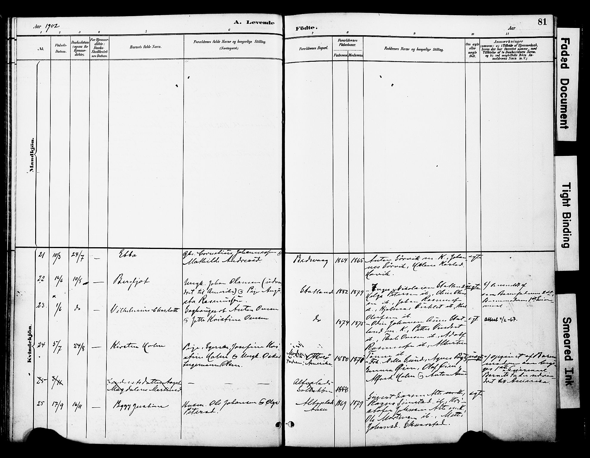 Ministerialprotokoller, klokkerbøker og fødselsregistre - Nord-Trøndelag, AV/SAT-A-1458/774/L0628: Parish register (official) no. 774A02, 1887-1903, p. 81