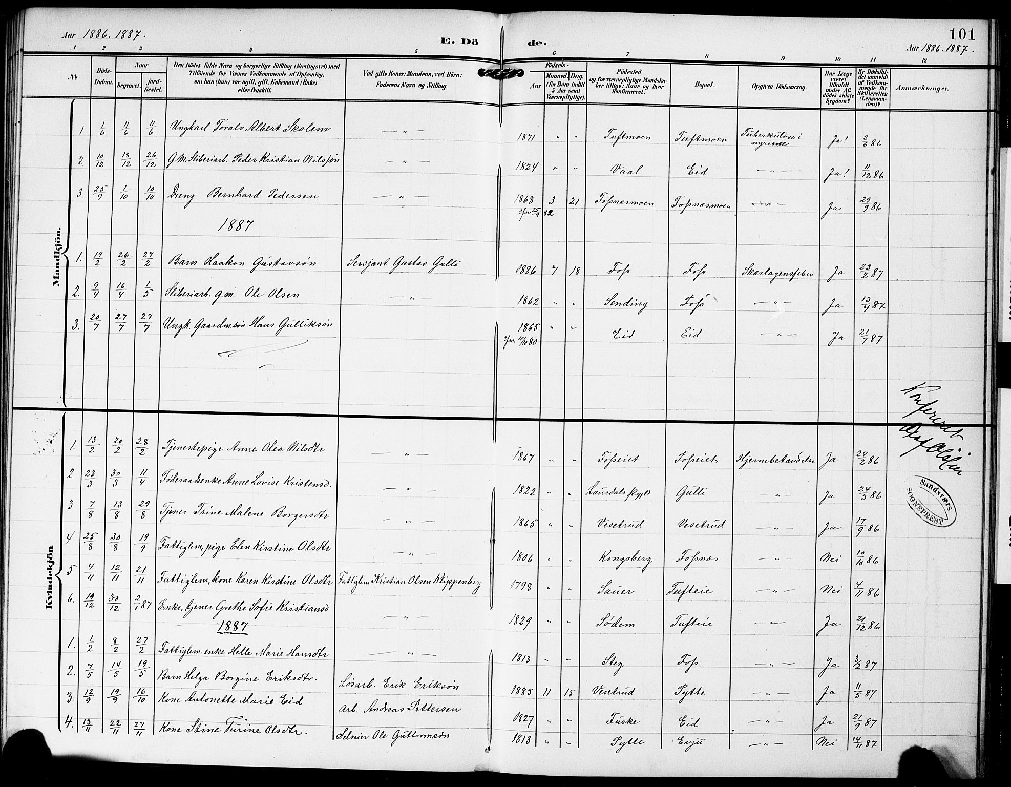 Sandsvær kirkebøker, AV/SAKO-A-244/G/Gc/L0001: Parish register (copy) no. III 1, 1878-1928, p. 101