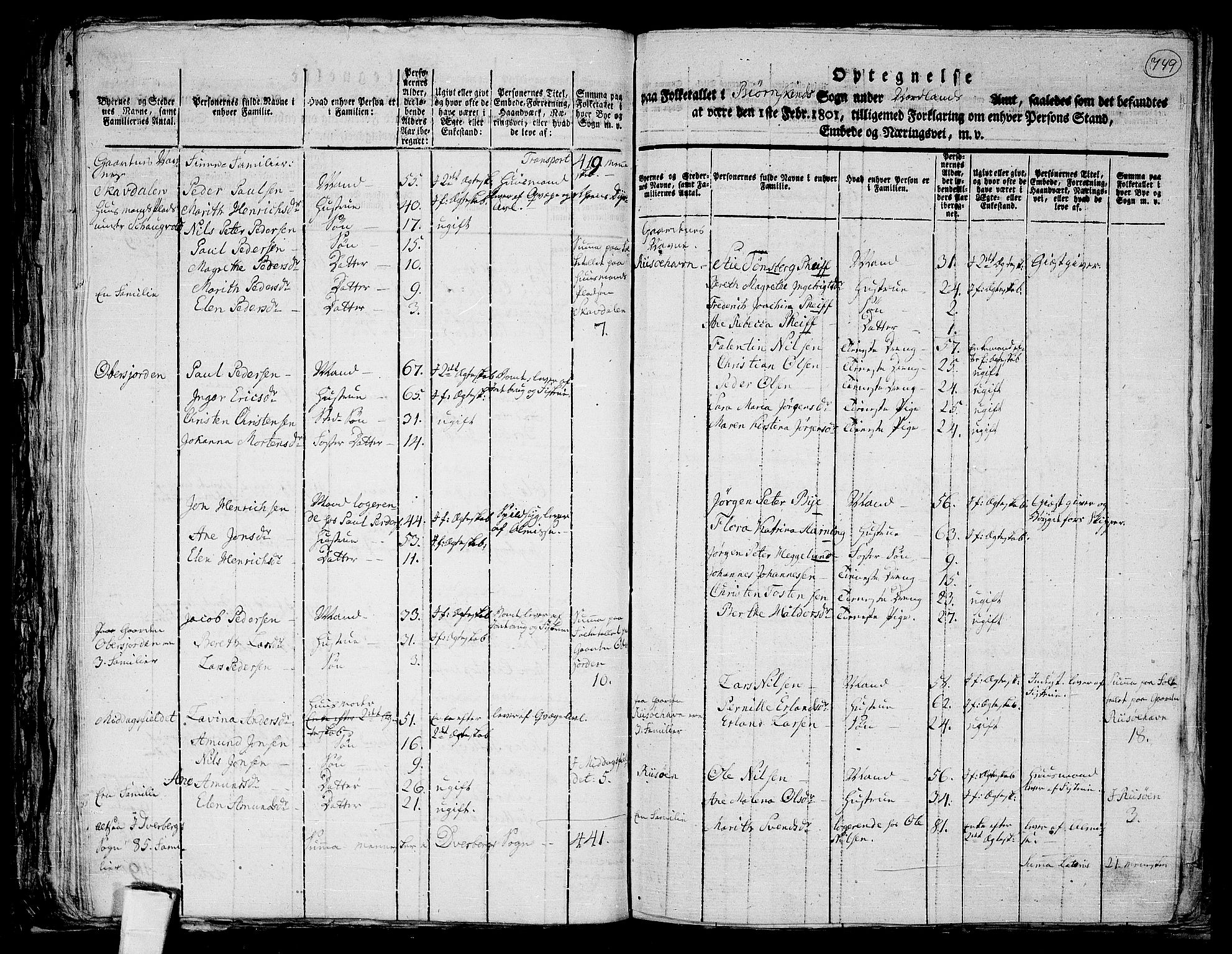 RA, 1801 census for 1872P Dverberg, 1801, p. 748b-749a