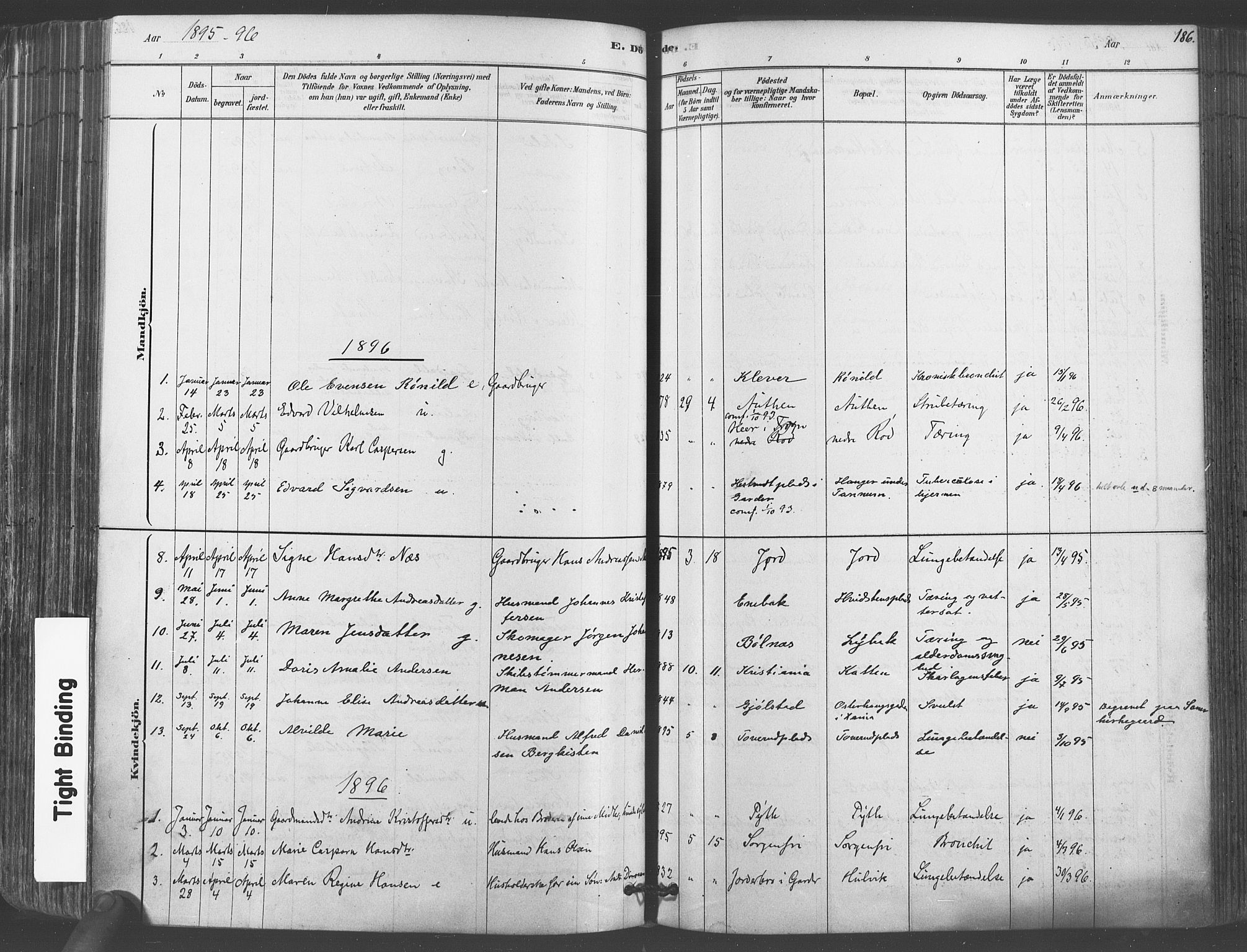 Vestby prestekontor Kirkebøker, AV/SAO-A-10893/F/Fa/L0009: Parish register (official) no. I 9, 1878-1900, p. 186