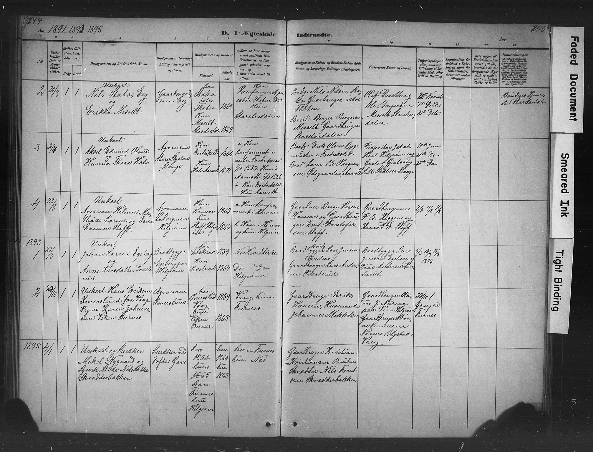 Nes prestekontor, Hedmark, AV/SAH-PREST-020/L/La/L0016: Parish register (copy) no. 16, 1883-1900, p. 244-245