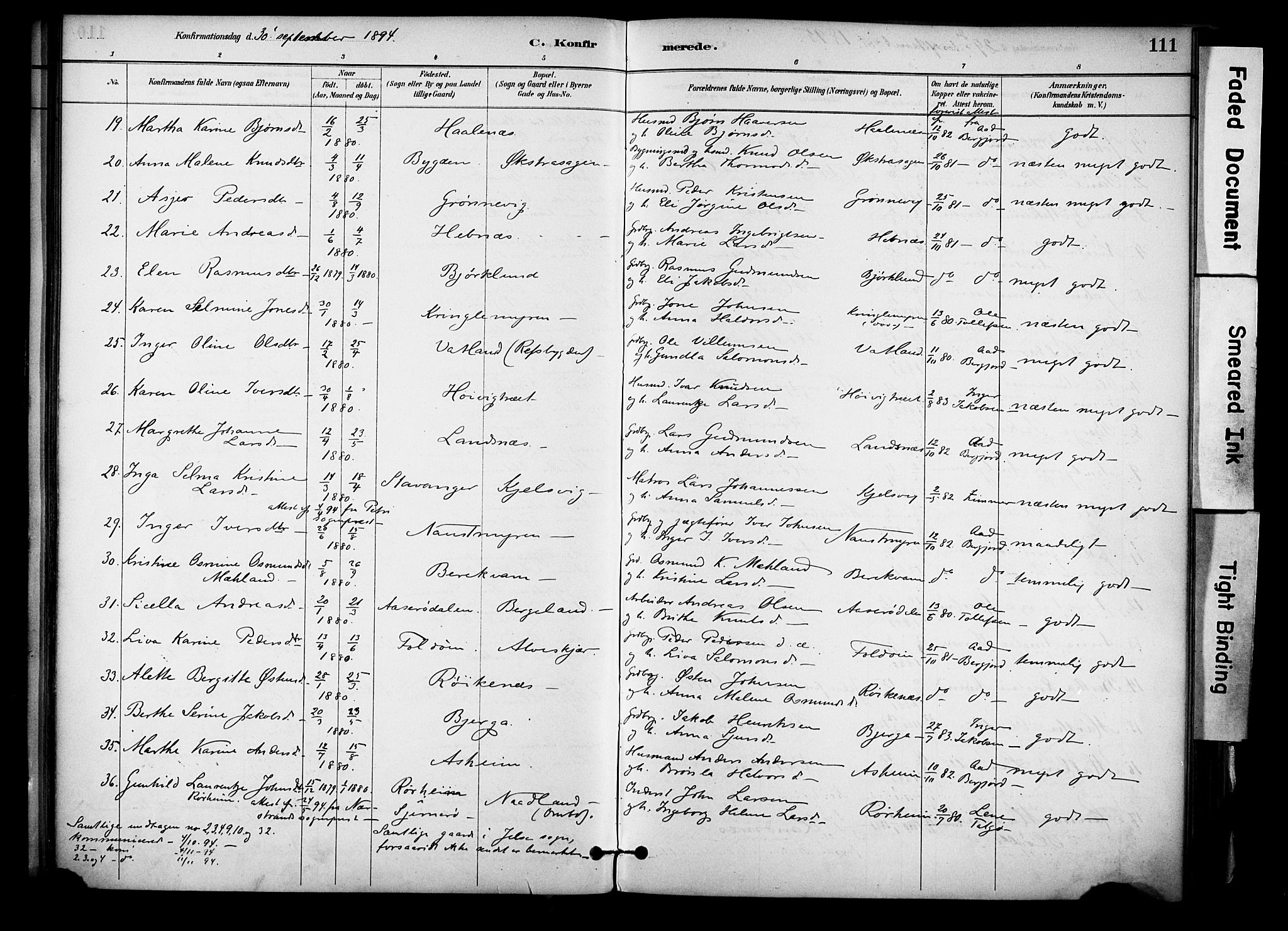 Jelsa sokneprestkontor, AV/SAST-A-101842/01/IV: Parish register (official) no. A 10, 1884-1906, p. 111